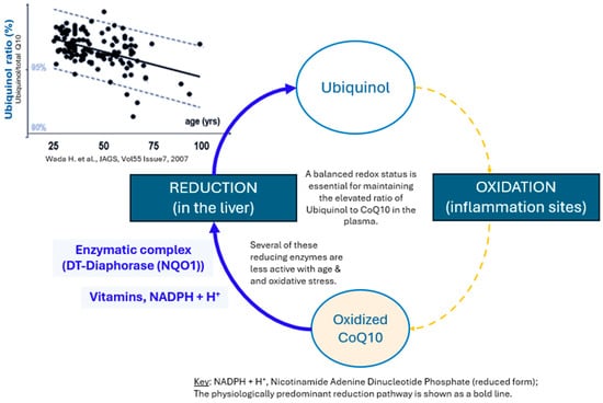 Nutrients 18 00156 g001