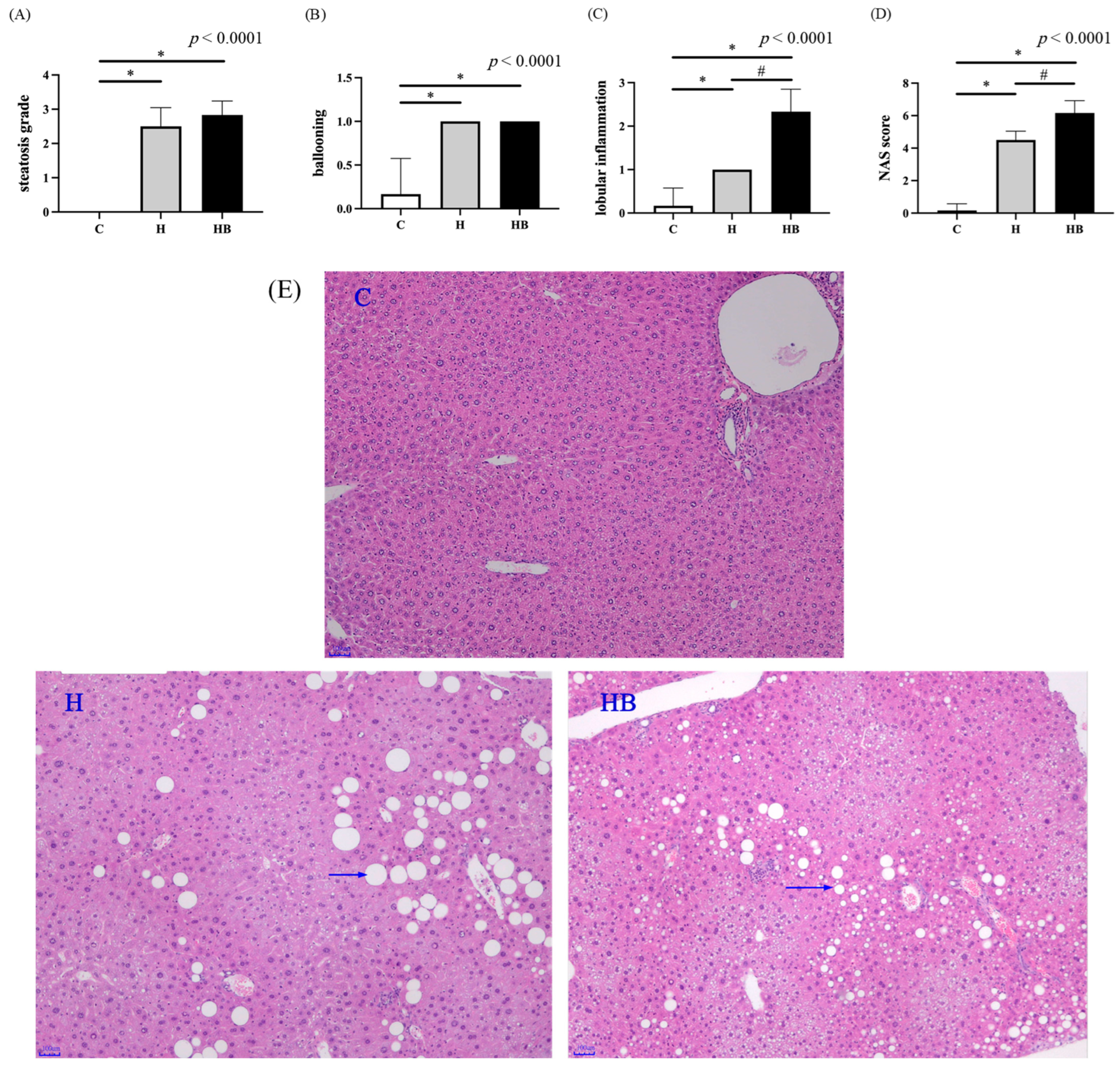 Nutrients 18 00164 g004 Nutrients 18 00164 g004