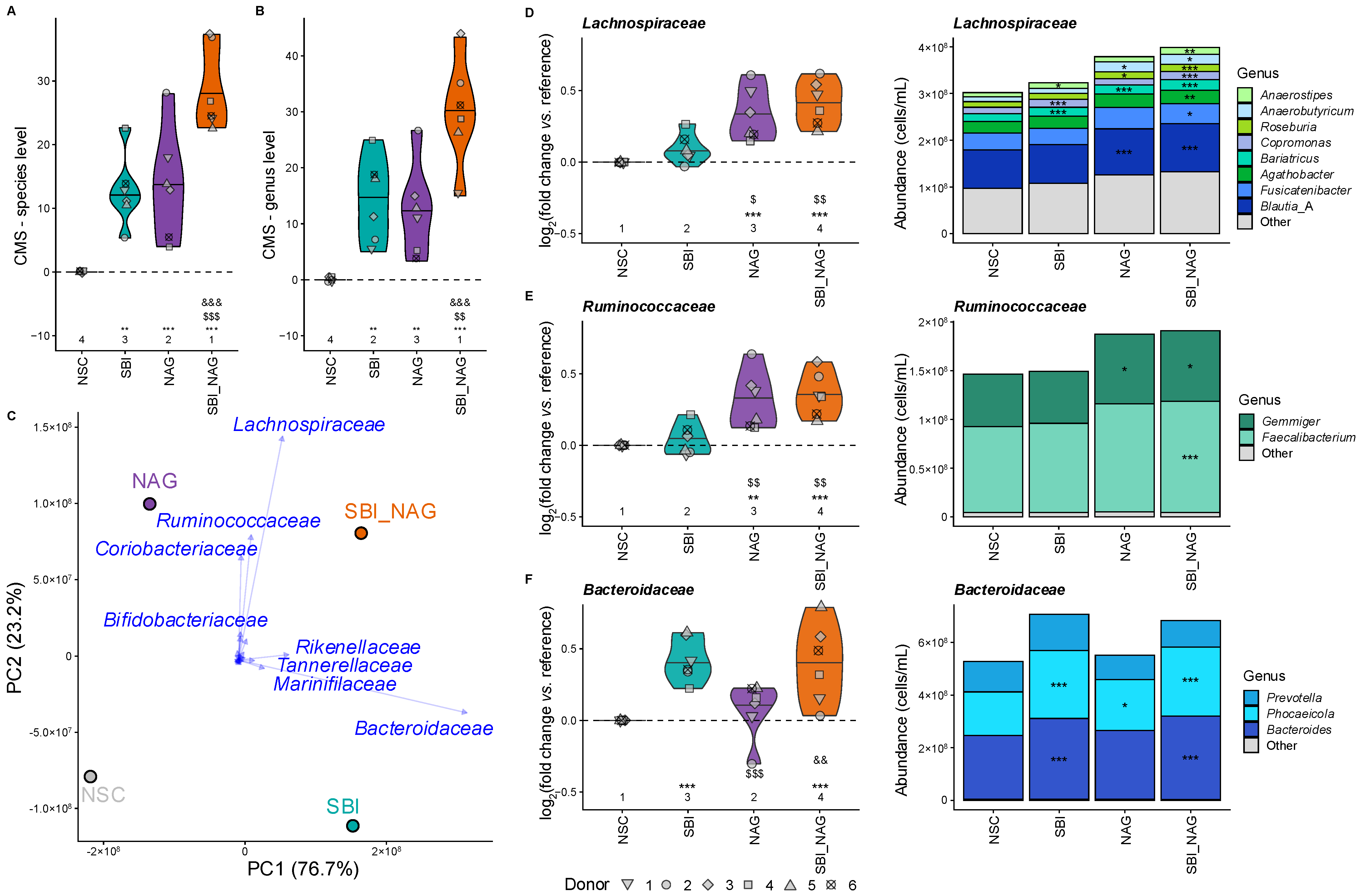 Nutrients 18 00210 g004 Nutrients 18 00210 g004