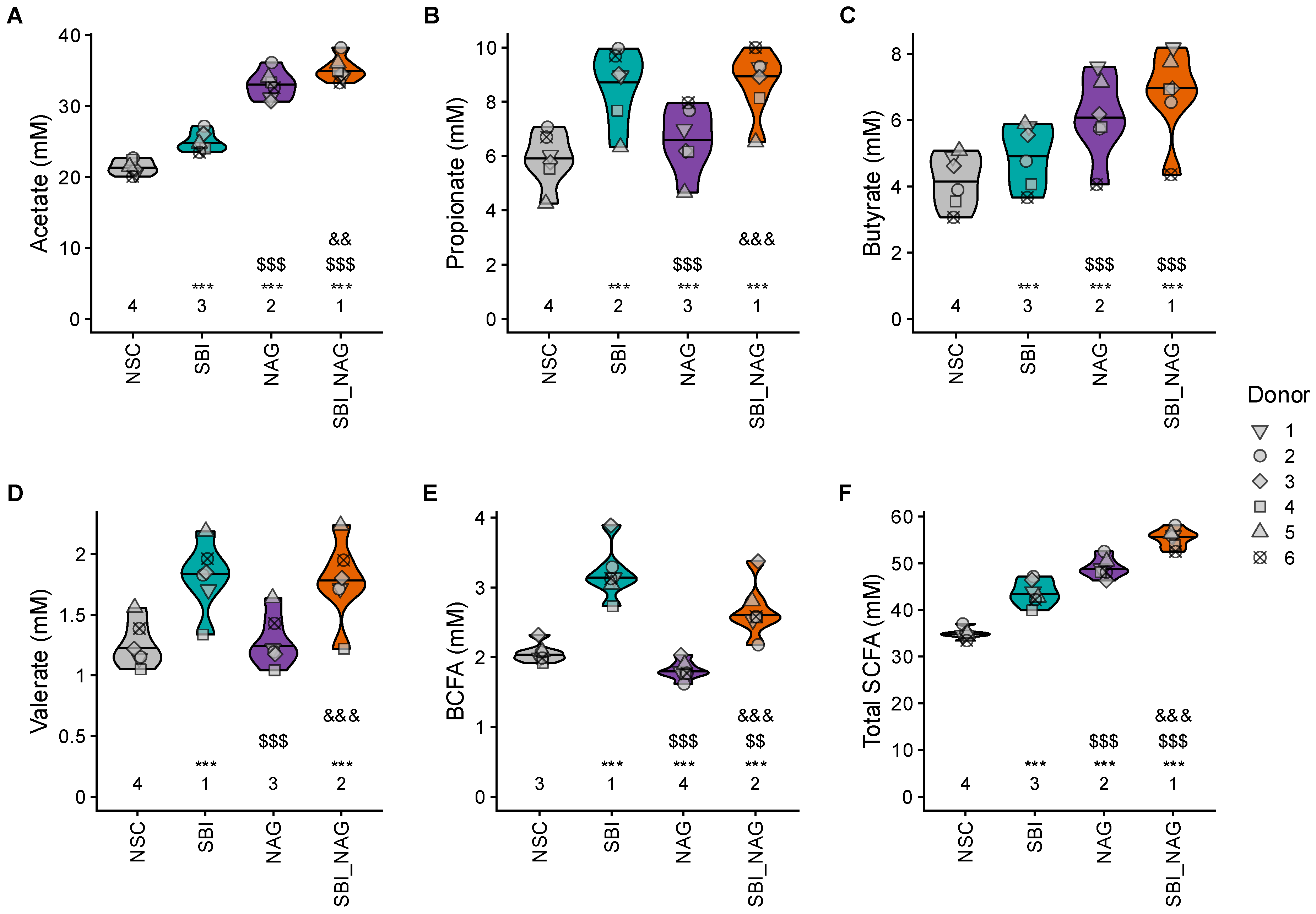 Nutrients 18 00210 g005 Nutrients 18 00210 g005