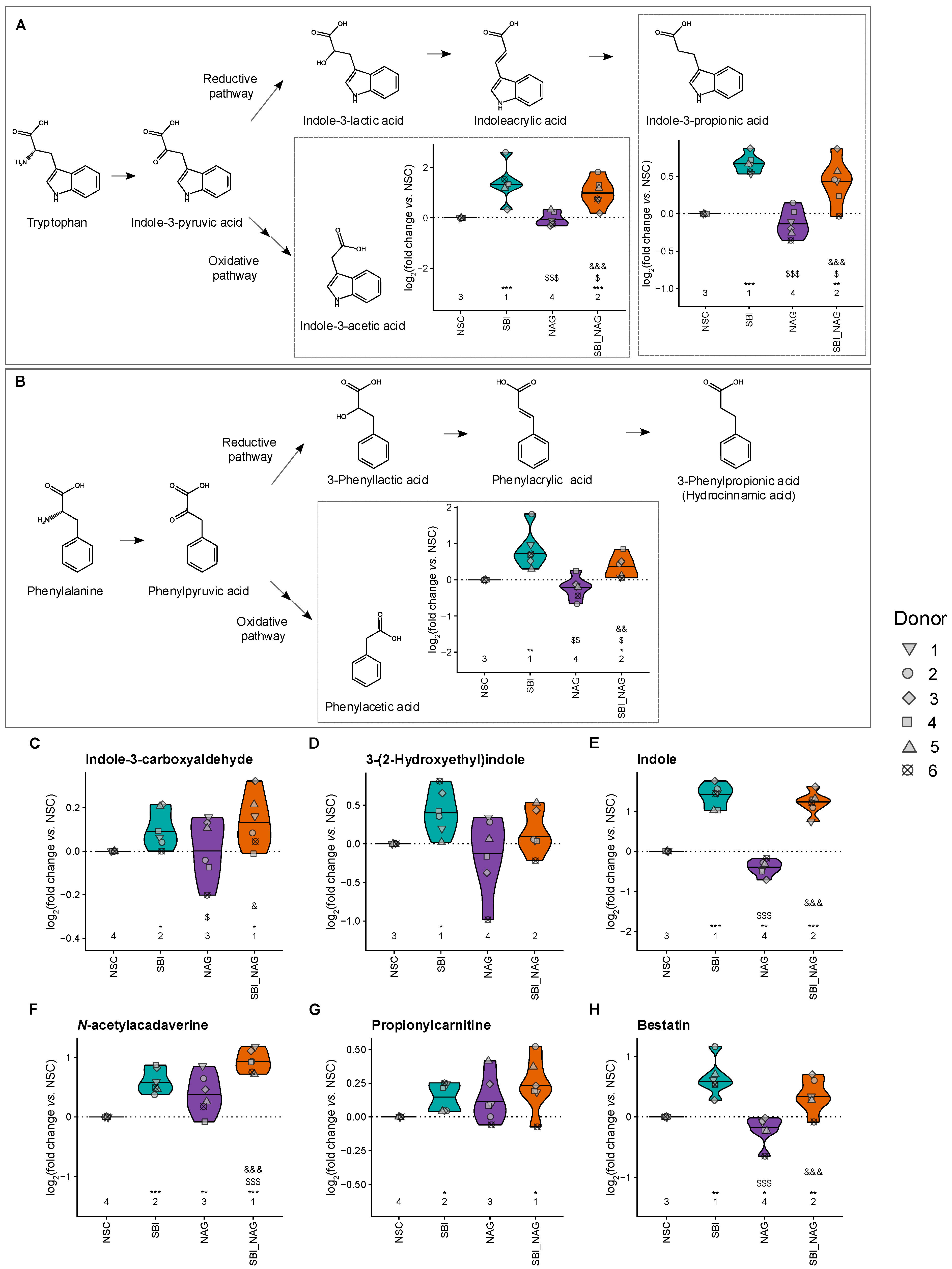Nutrients 18 00210 g006 Nutrients 18 00210 g006