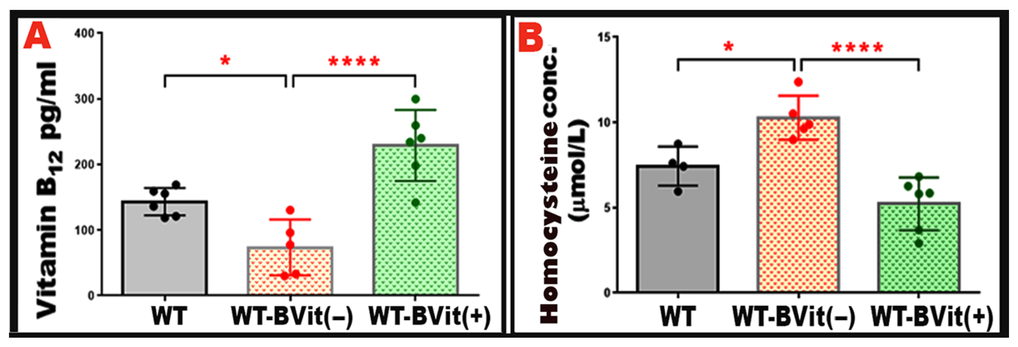 Nutrients 18 00236 g003 Nutrients 18 00236 g003