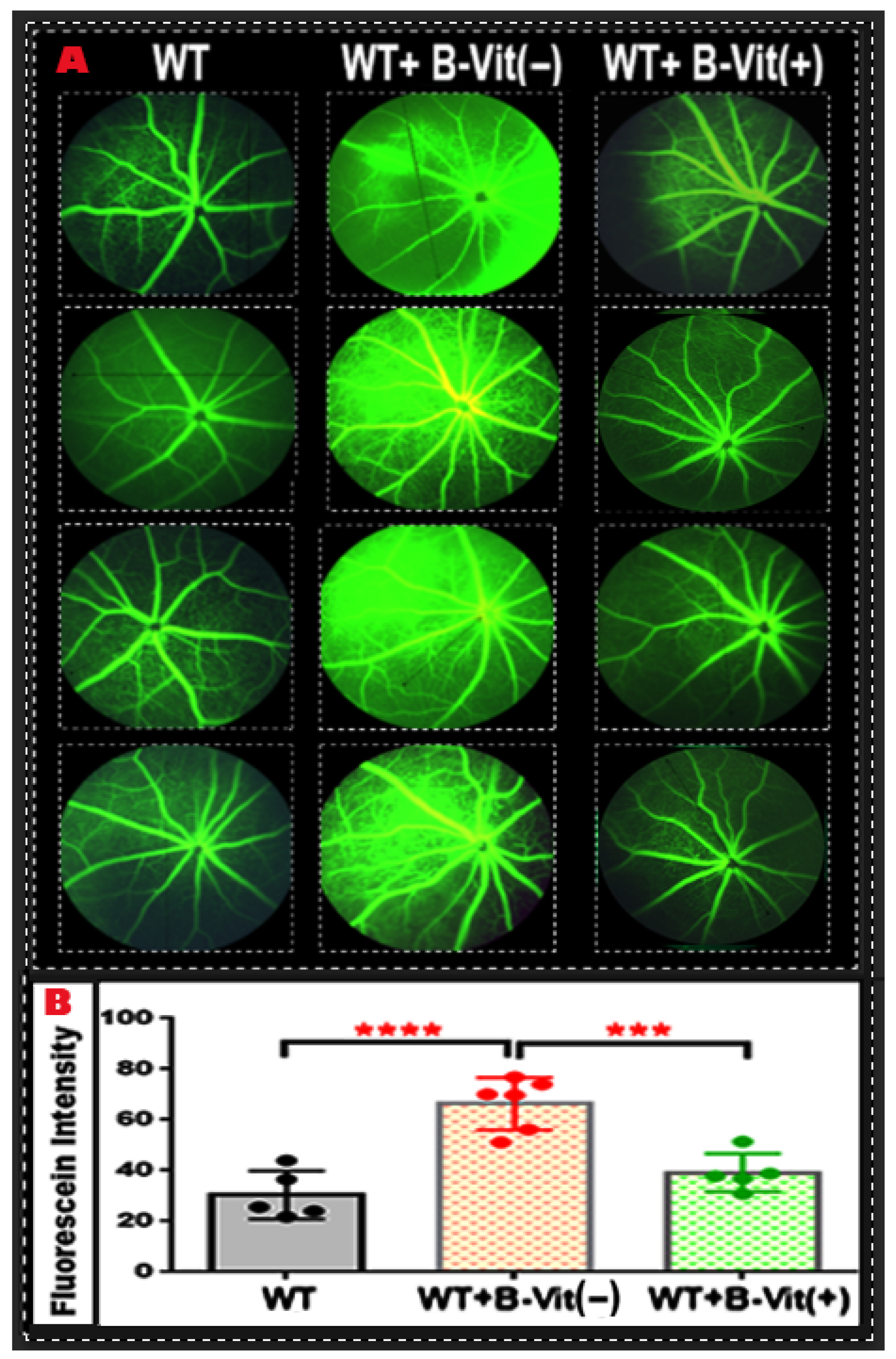 Nutrients 18 00236 g004 Nutrients 18 00236 g004