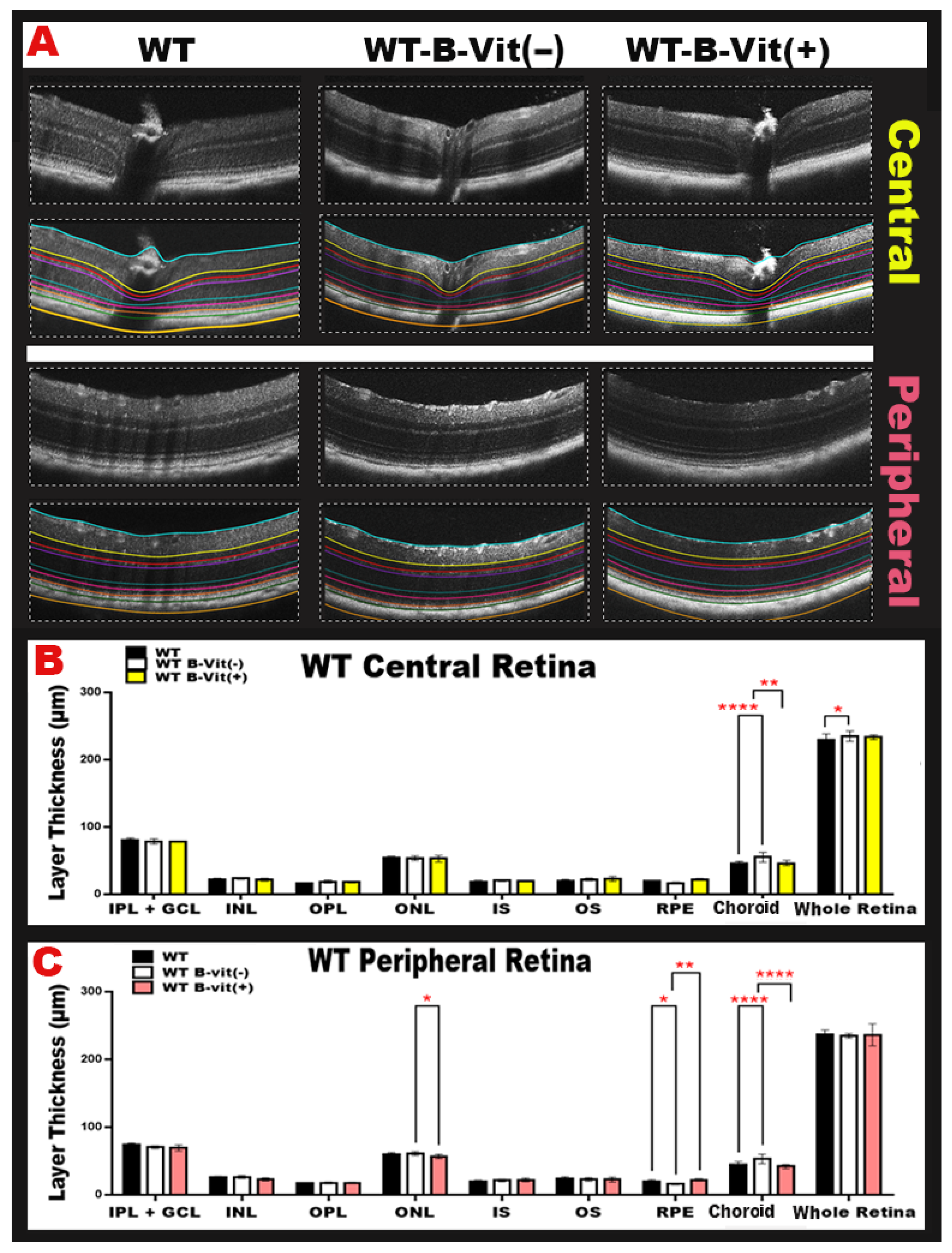 Nutrients 18 00236 g005 Nutrients 18 00236 g005