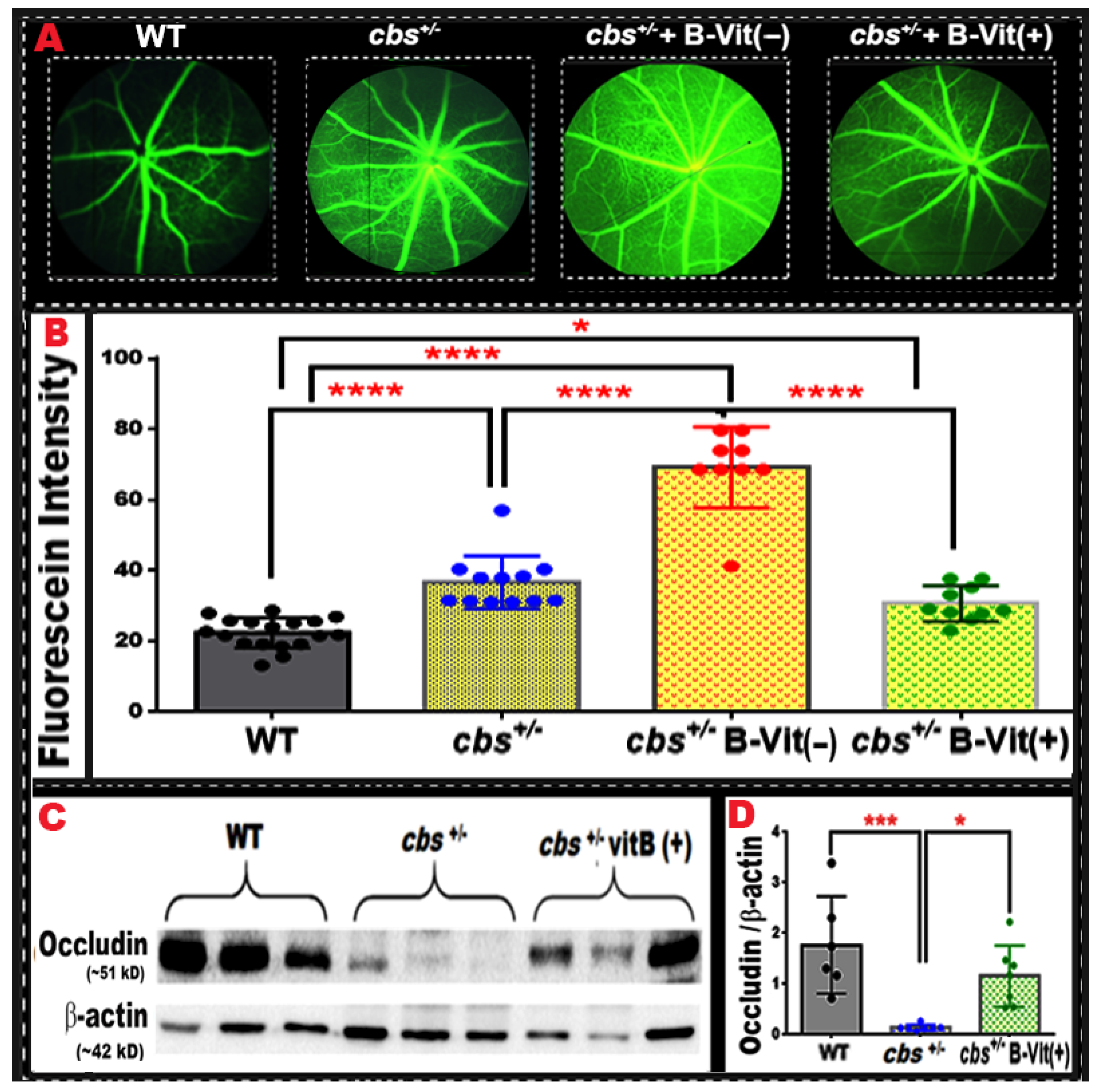 Nutrients 18 00236 g008 Nutrients 18 00236 g008