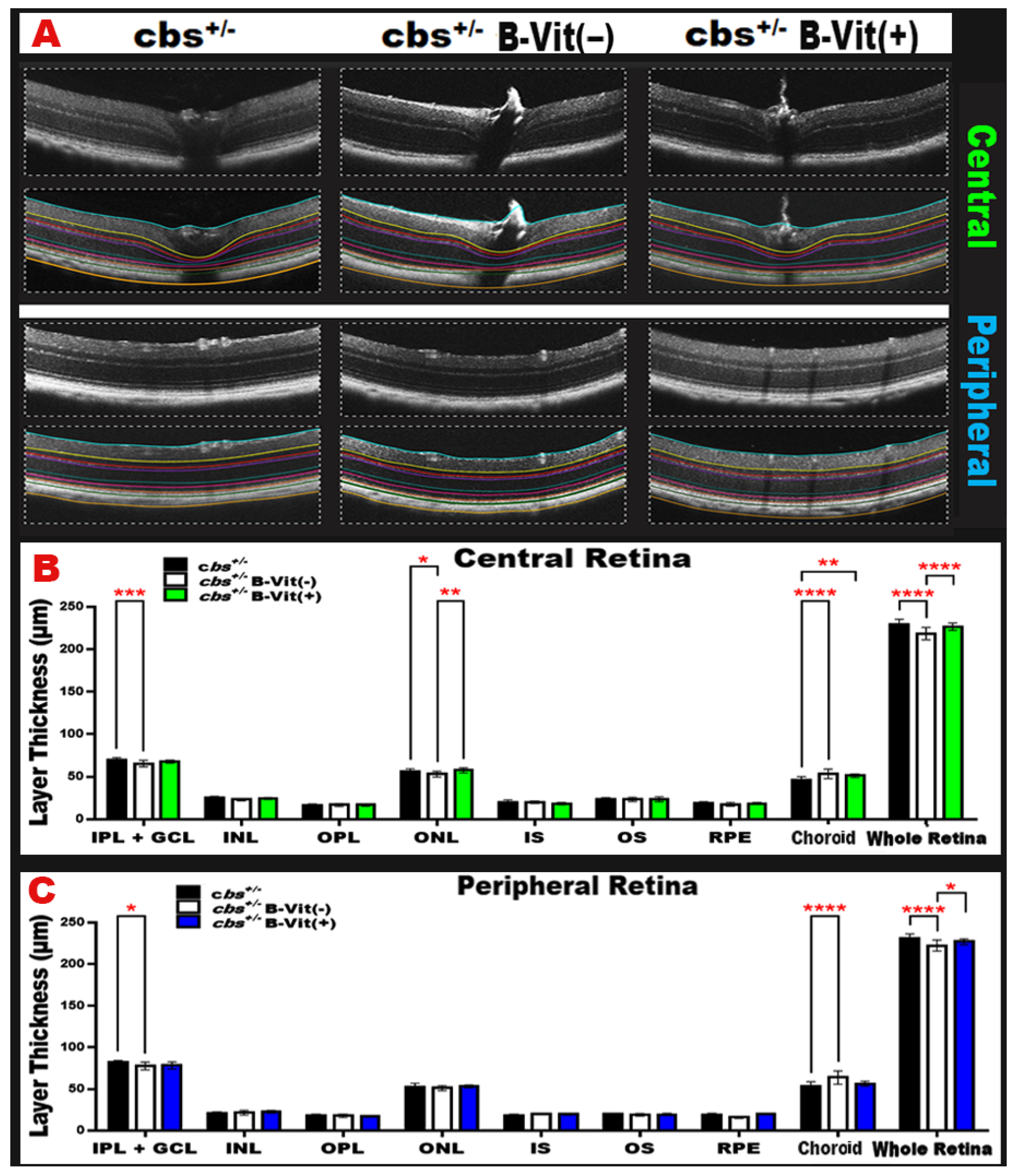 Nutrients 18 00236 g009 Nutrients 18 00236 g009