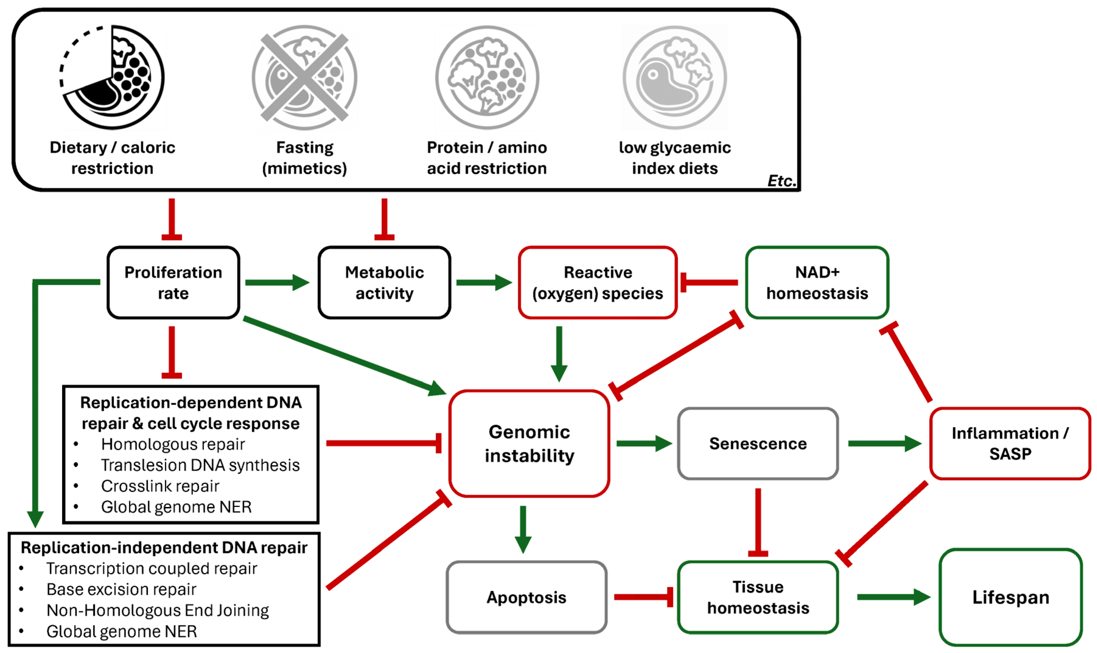 Nutrients 18 00246 g002