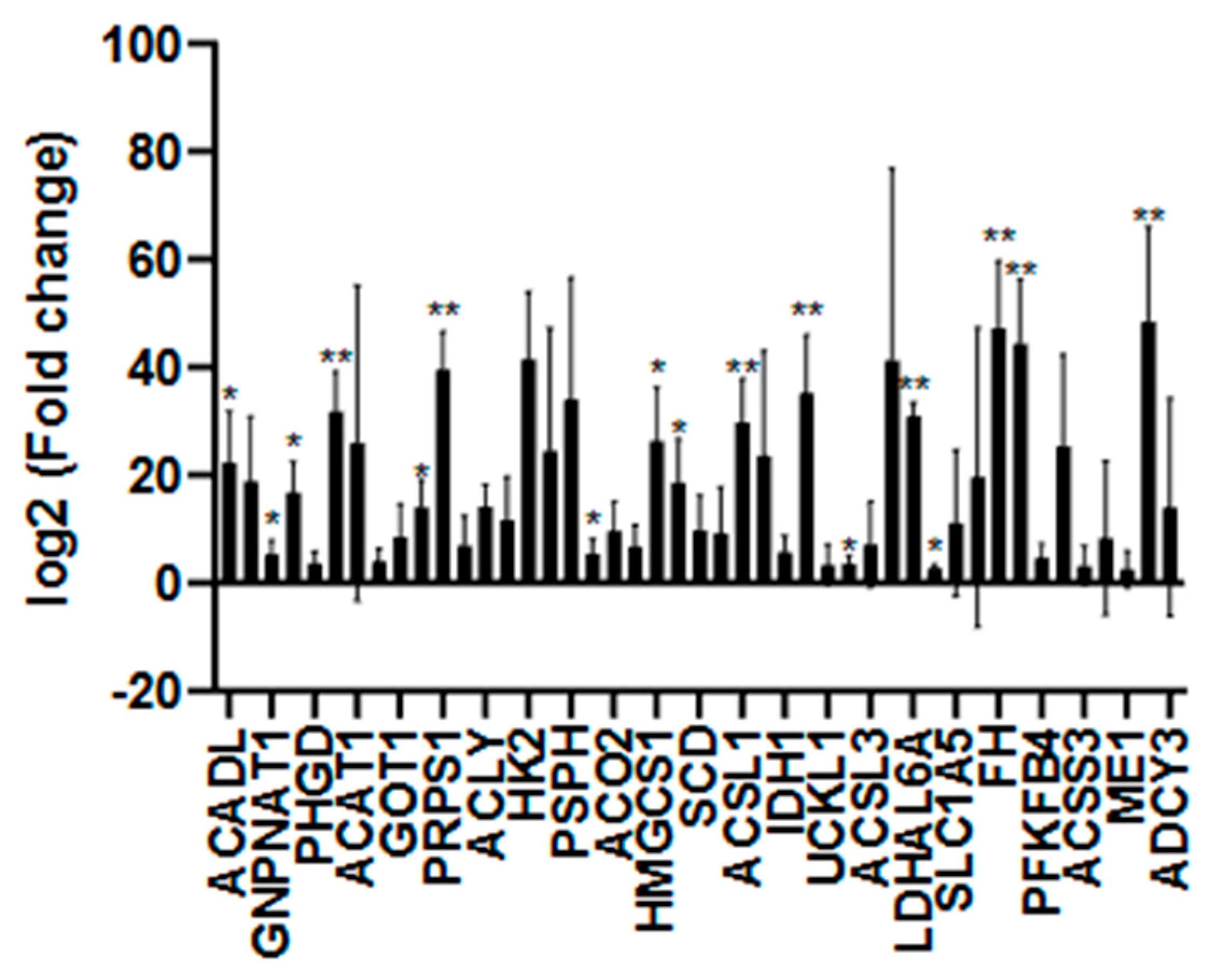 Nutrients 18 00276 g001 Nutrients 18 00276 g001