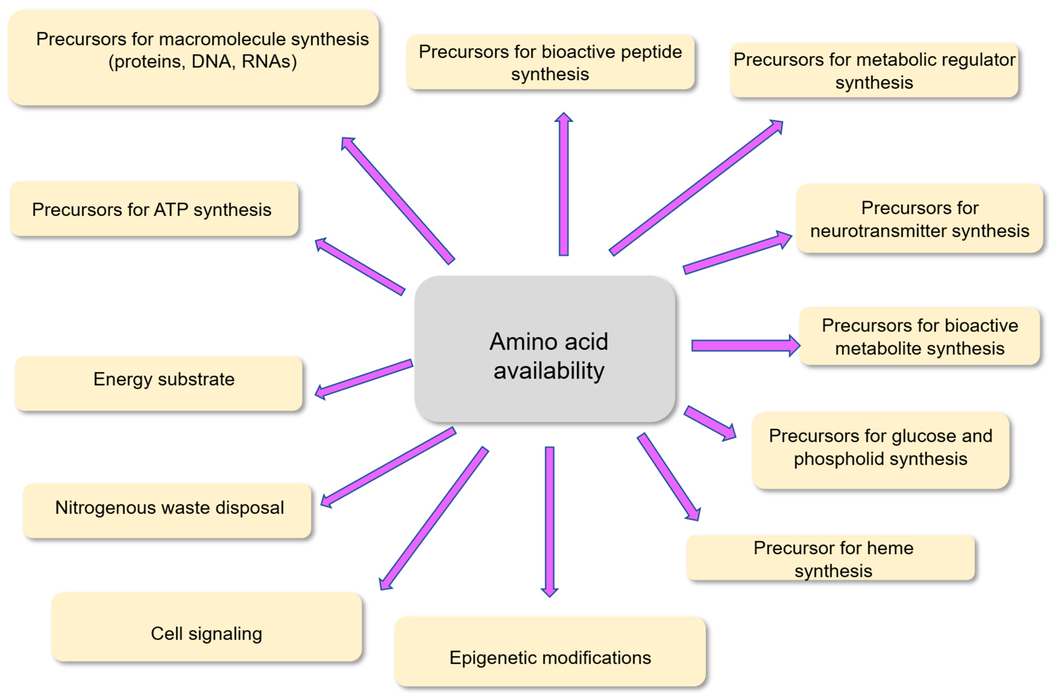 Nutrients 18 00296 g001 Nutrients 18 00296 g001
