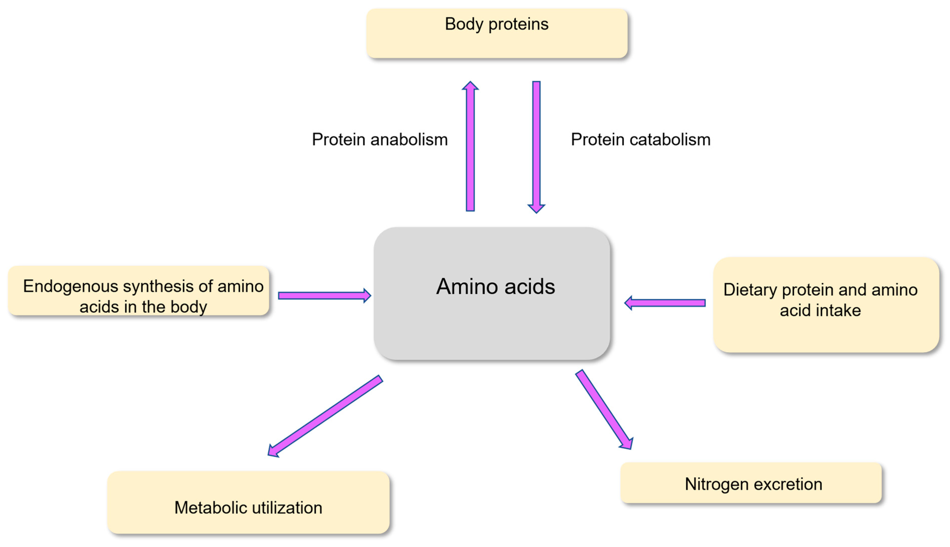 Nutrients 18 00296 g002 Nutrients 18 00296 g002