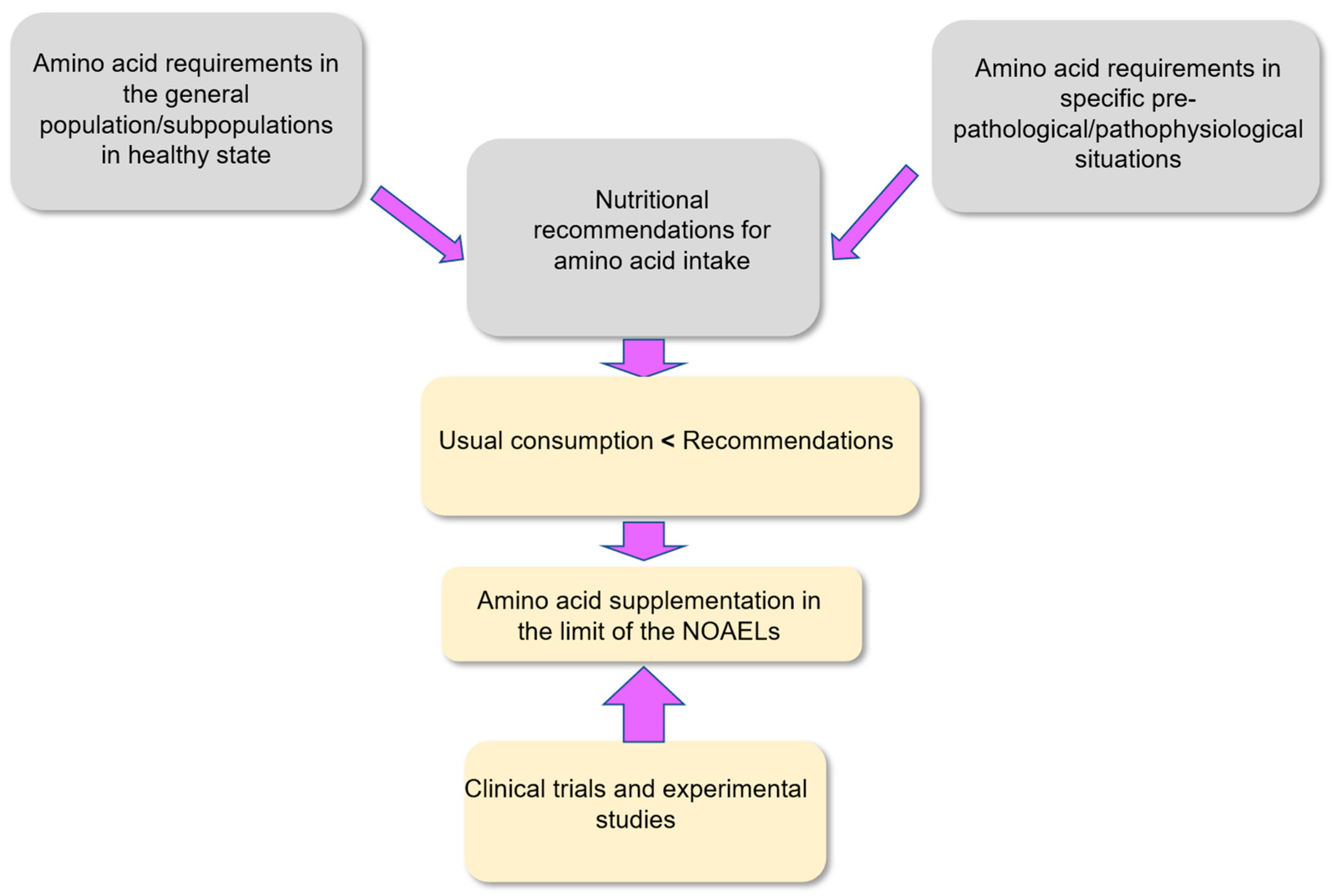 Nutrients 18 00296 g003 Nutrients 18 00296 g003