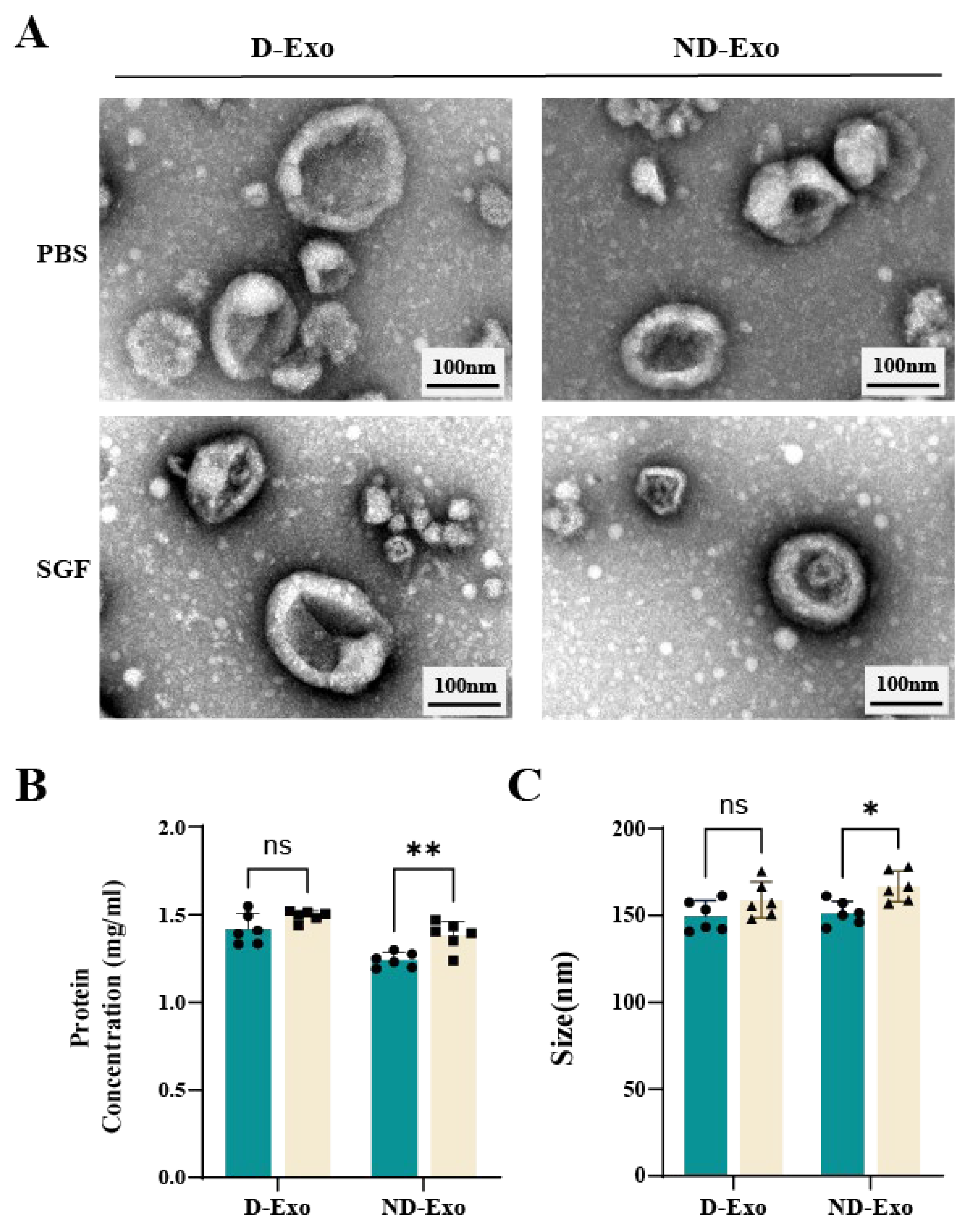 Nutrients 18 00315 g002 Nutrients 18 00315 g002