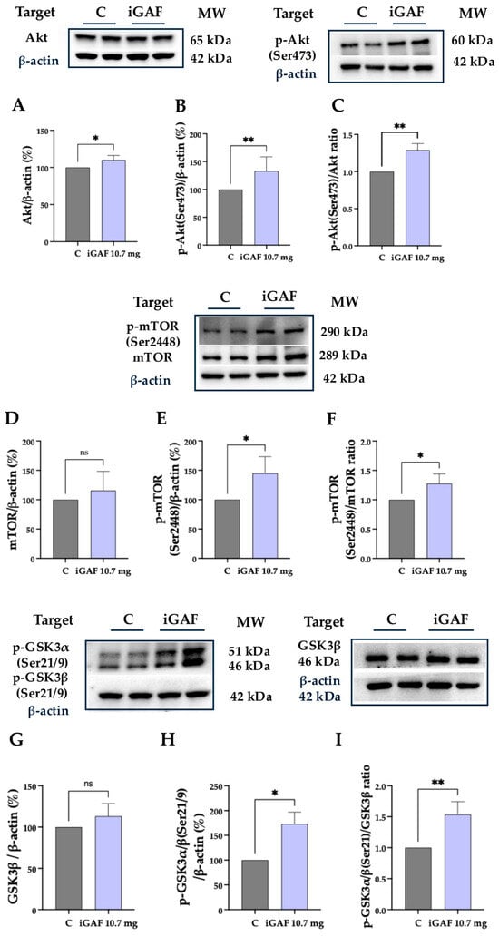 Nutrients 18 00323 g002