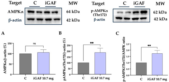 Nutrients 18 00323 g003