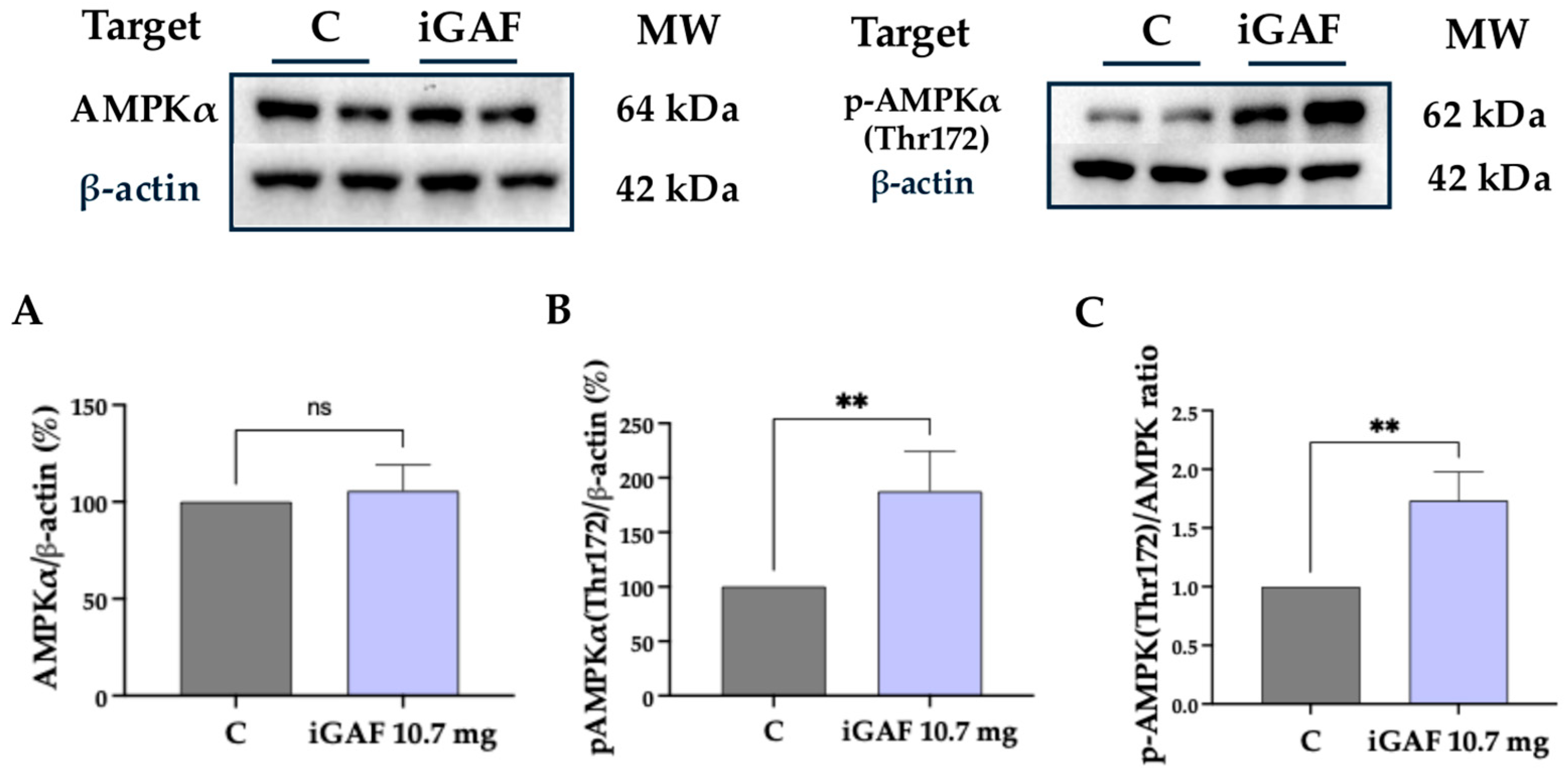 Nutrients 18 00323 g003
