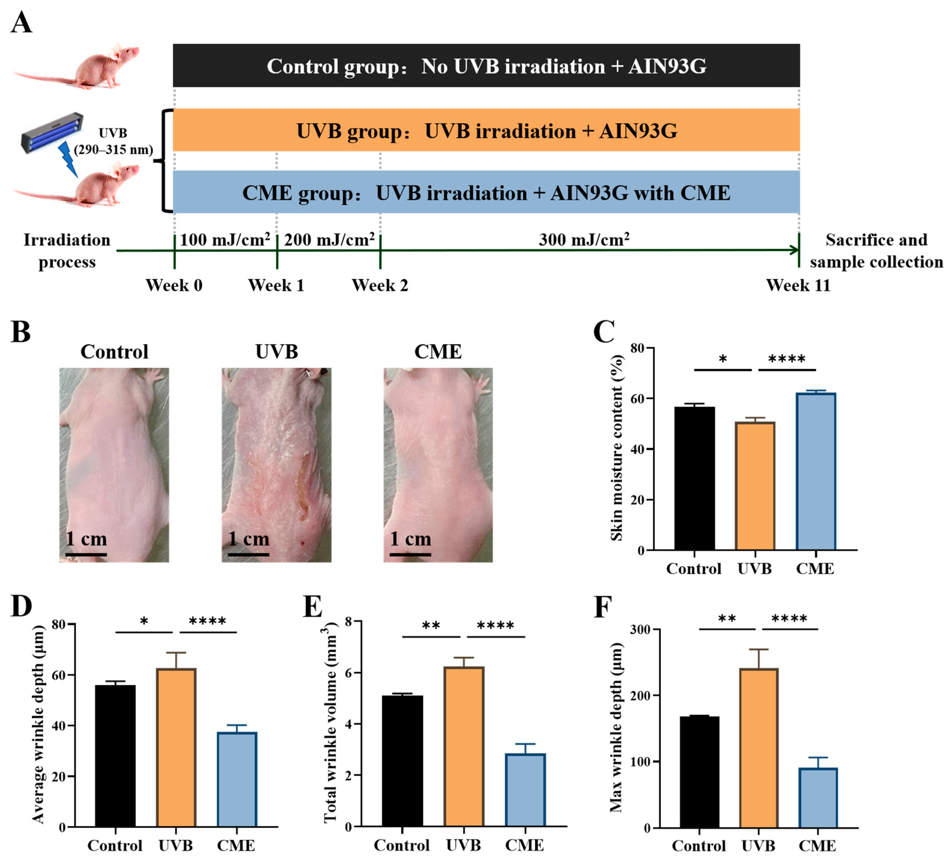 Nutrients 18 00329 g001 Nutrients 18 00329 g001
