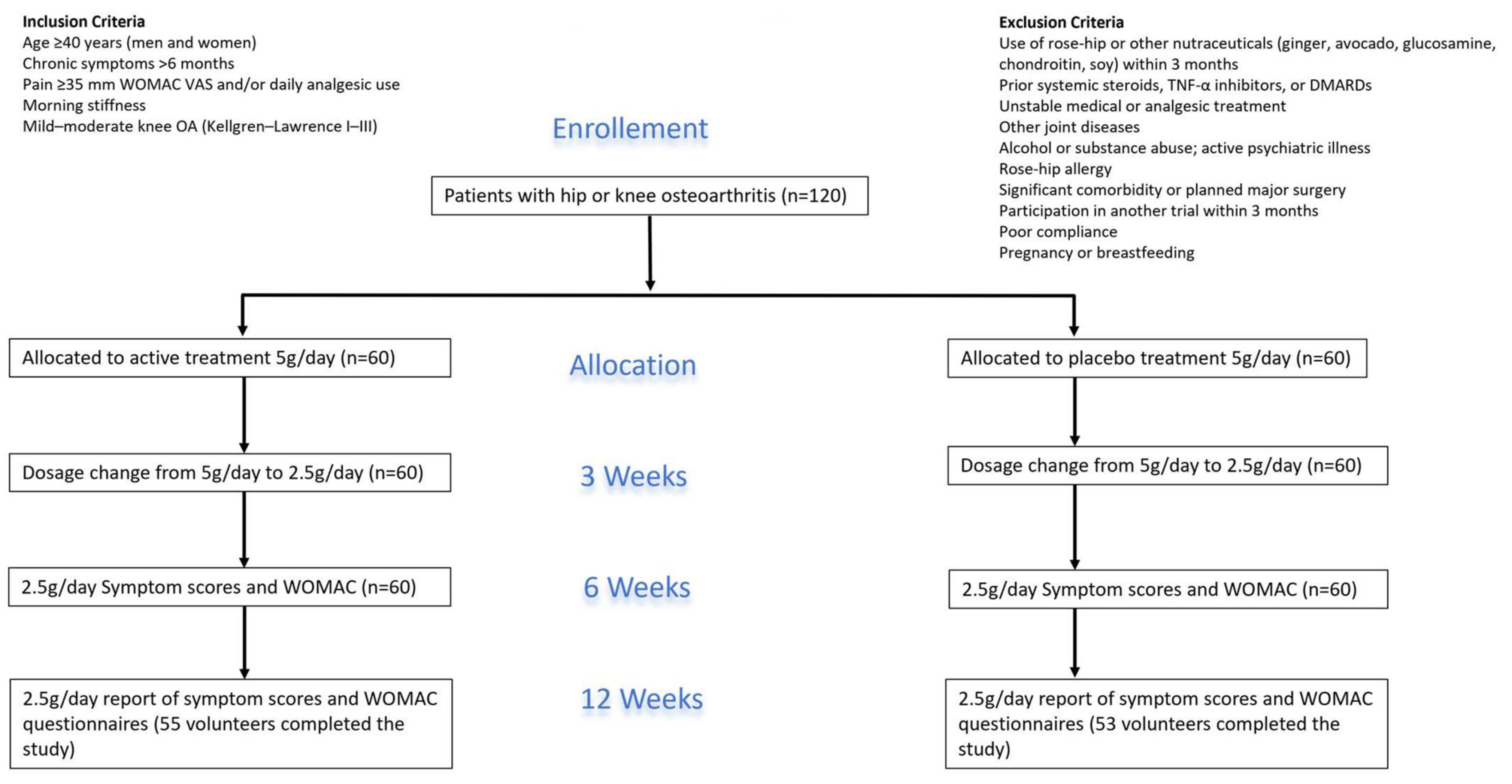 Nutrients 18 00331 g001