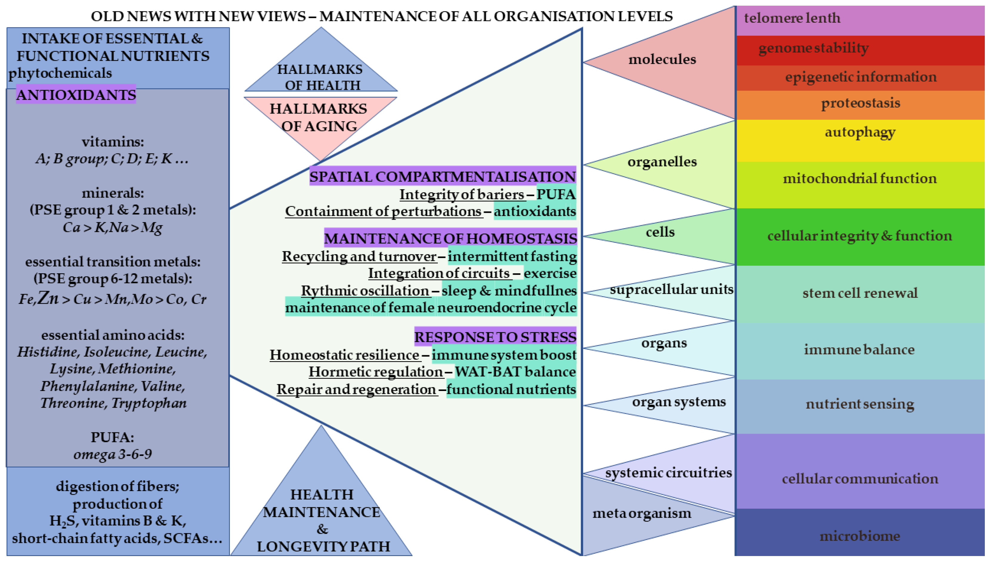 Nutrients 18 00336 g001