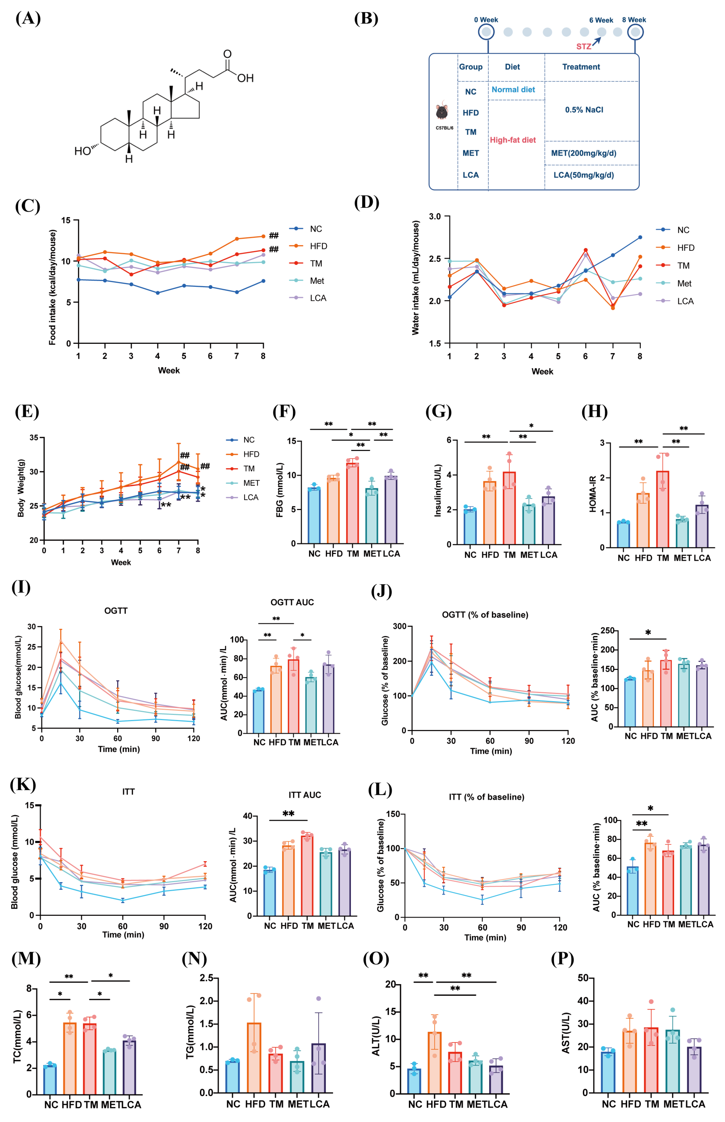 Nutrients 18 00341 g002