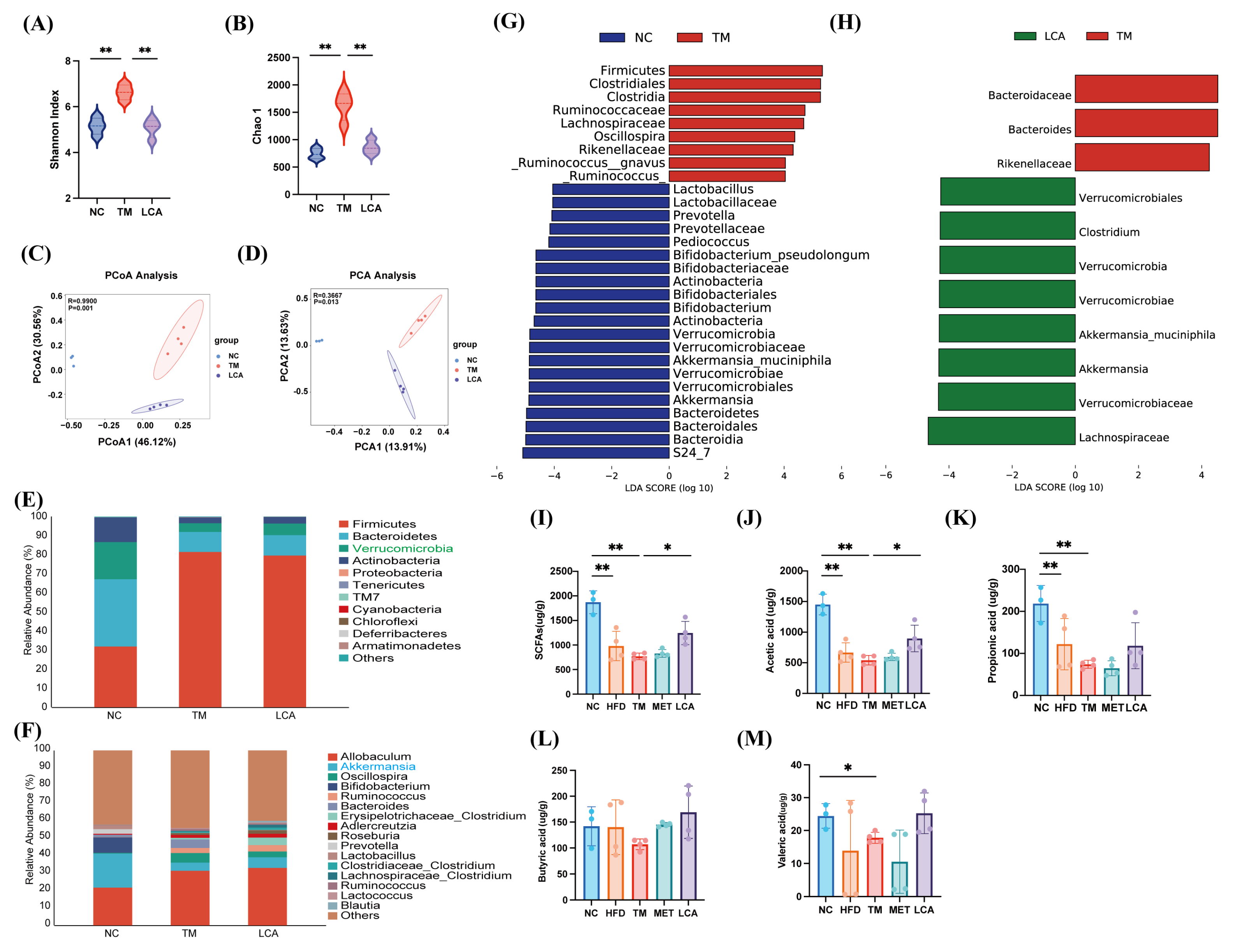 Nutrients 18 00341 g003