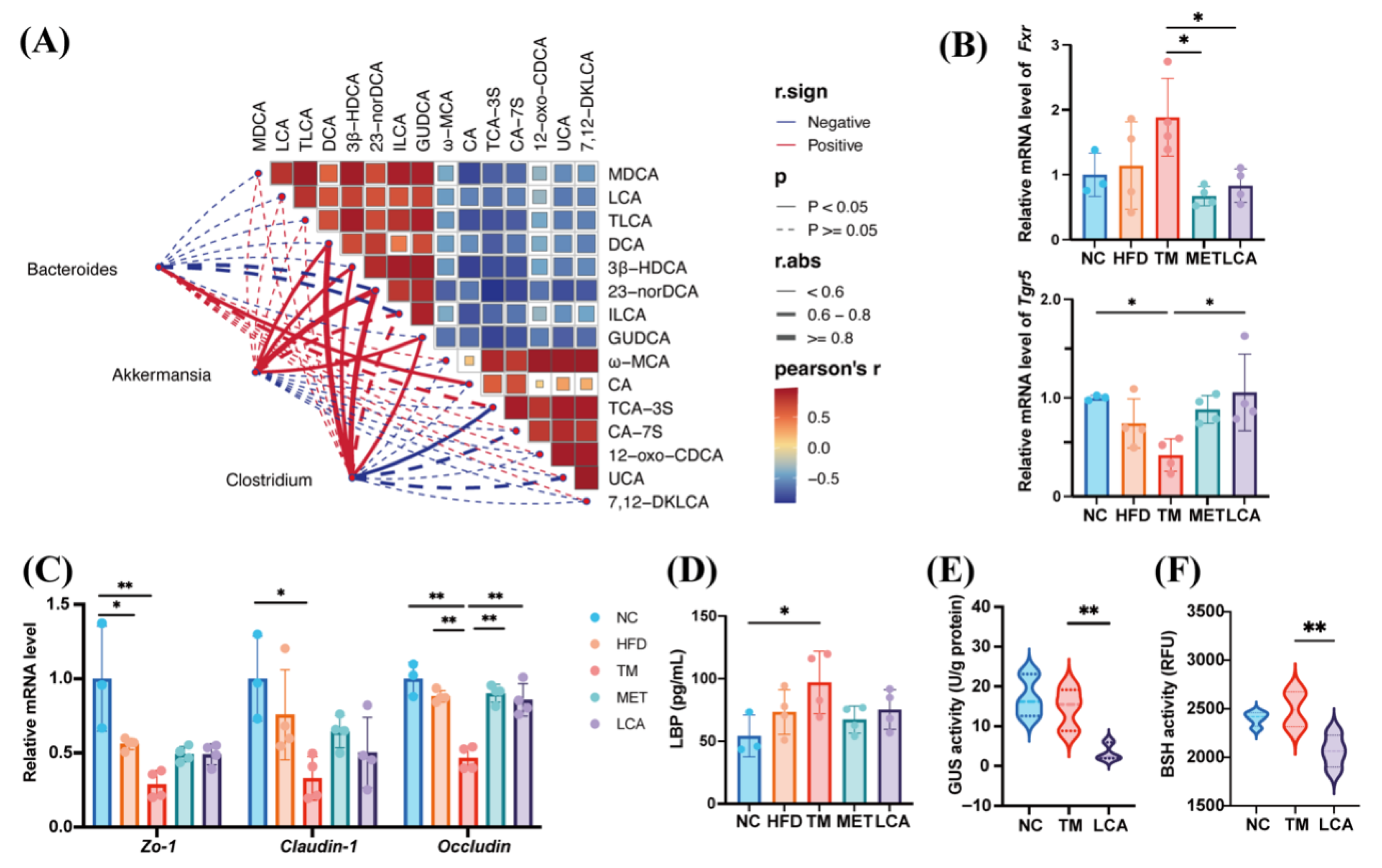Nutrients 18 00341 g005