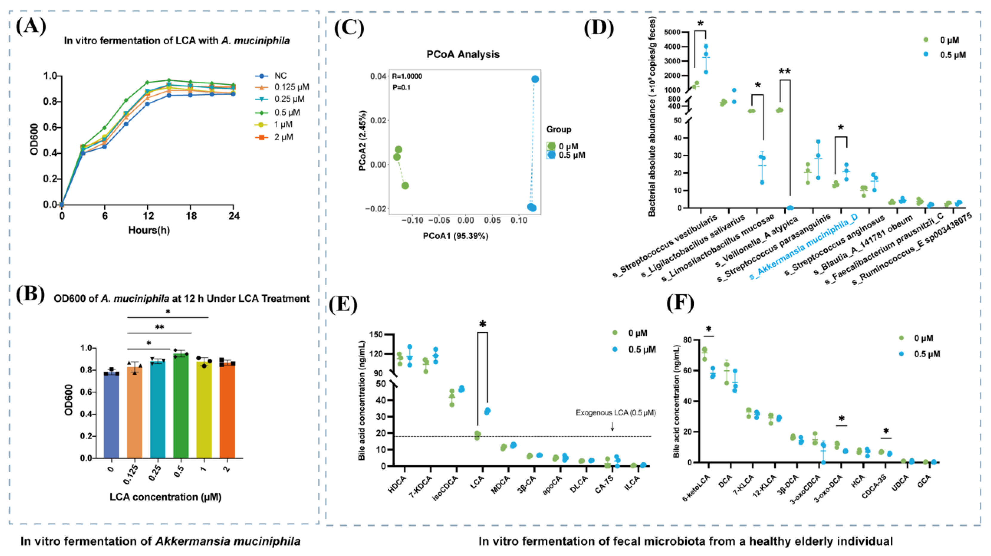 Nutrients 18 00341 g006