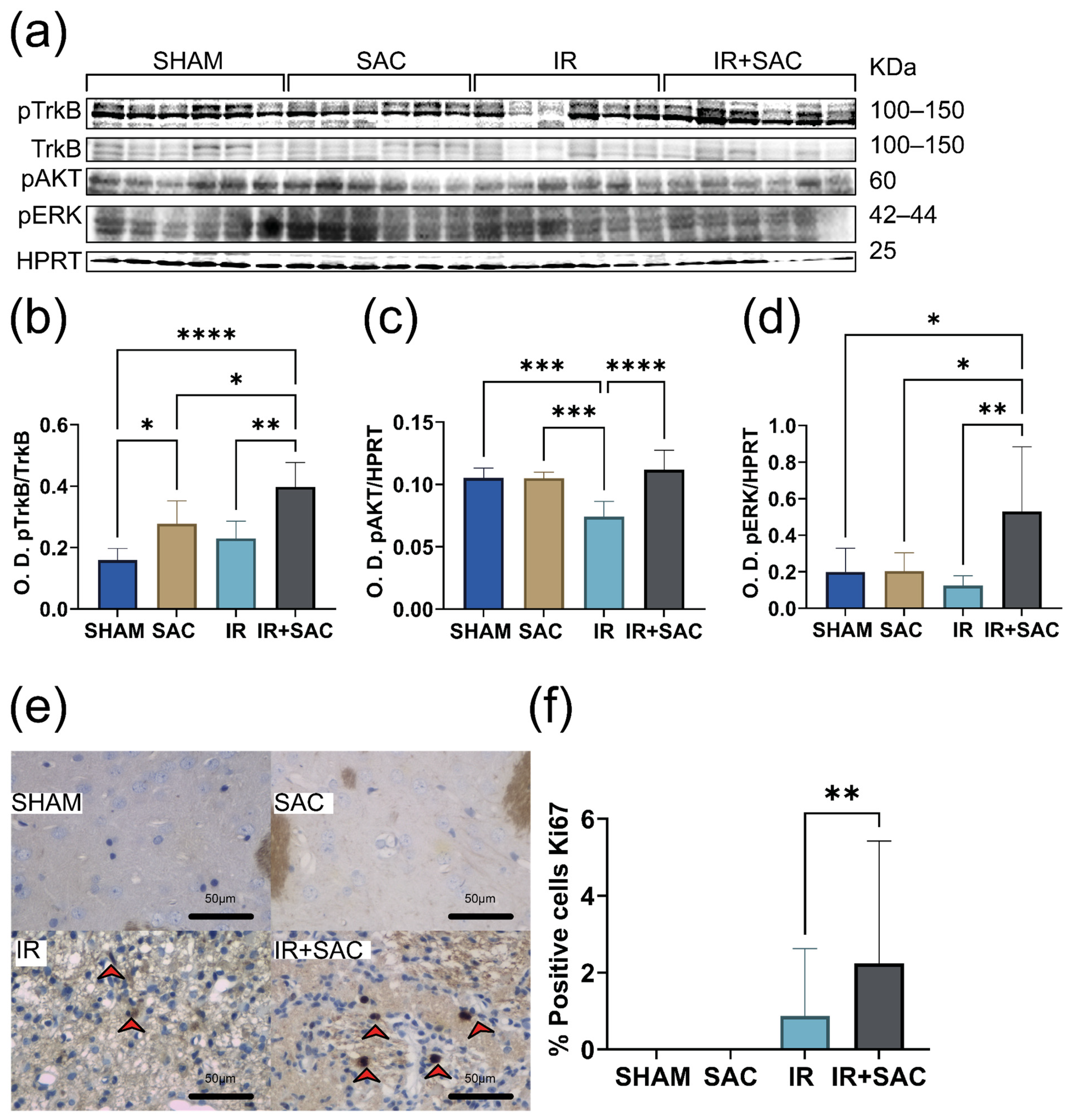 Nutrients 18 00362 g009
