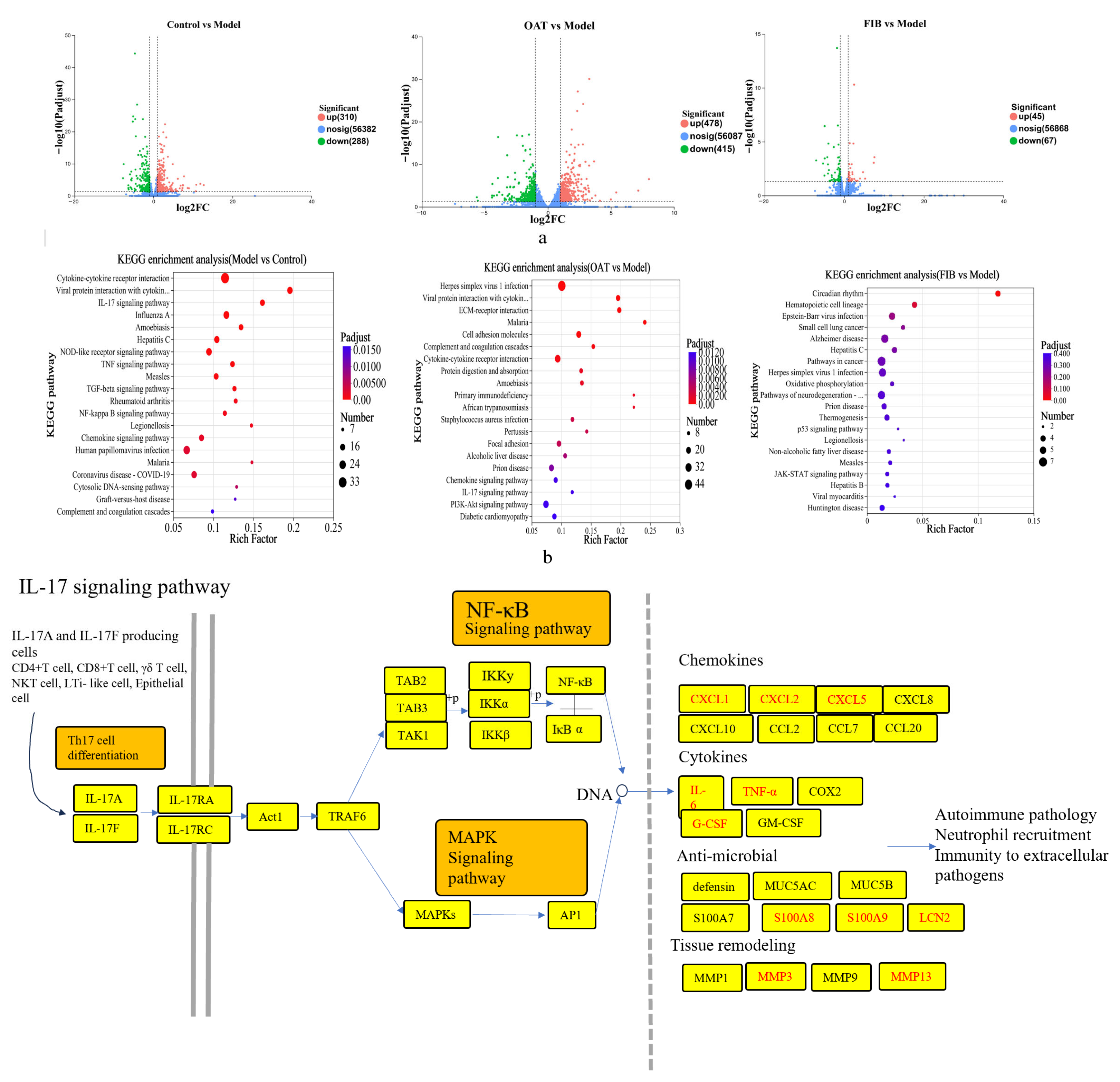 Nutrients 18 00407 g003a