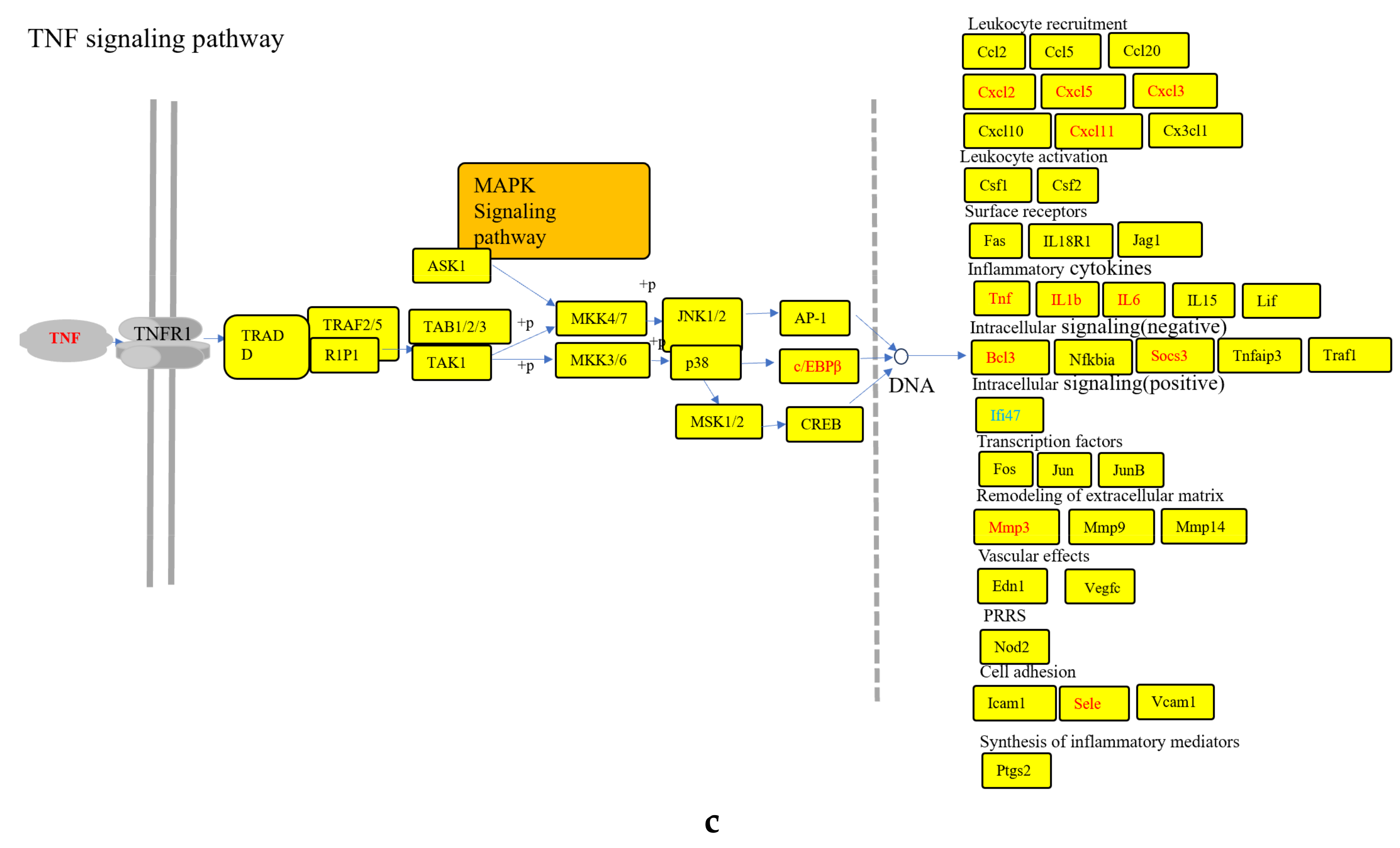 Nutrients 18 00407 g003b