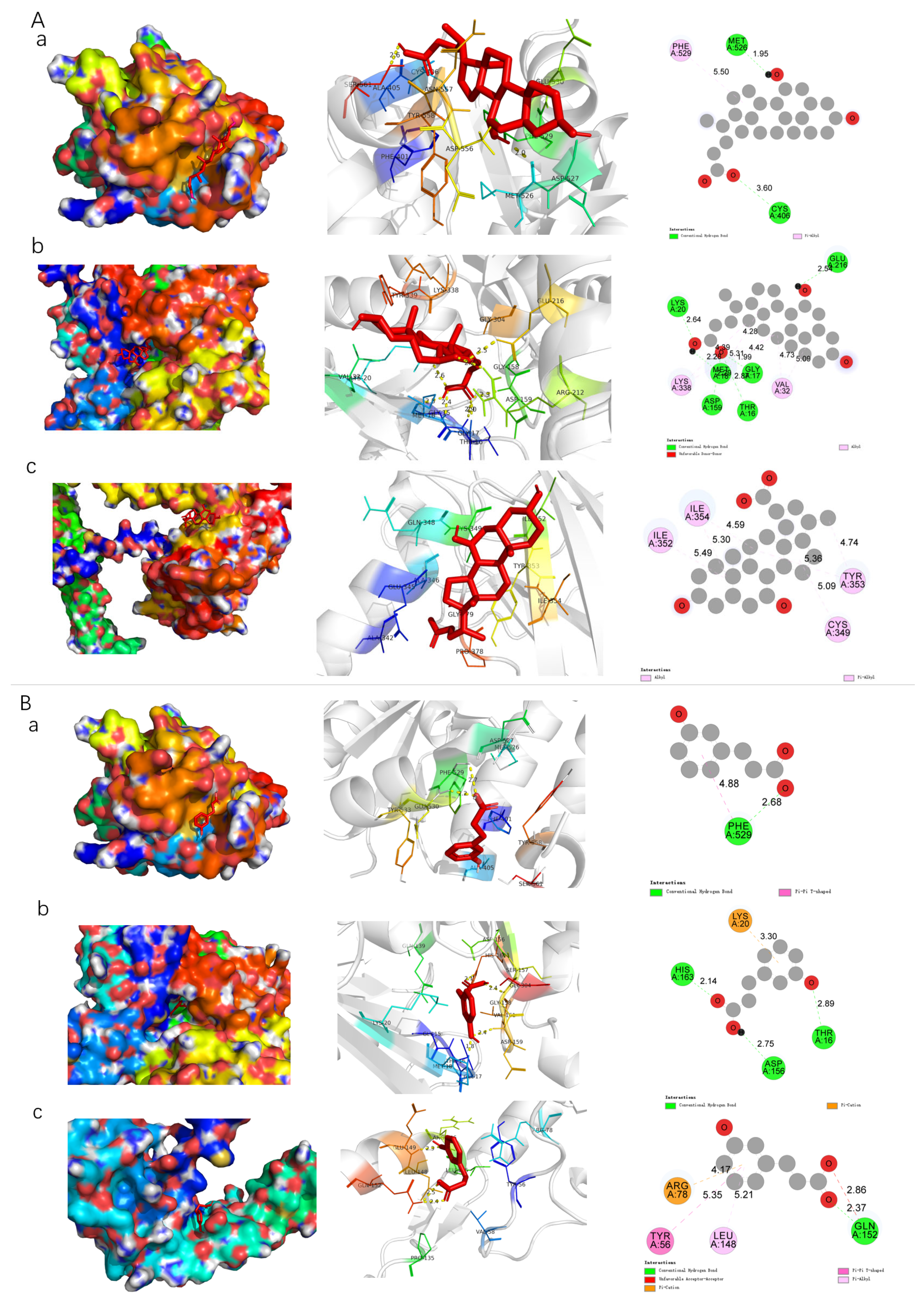 Nutrients 18 00407 g006a