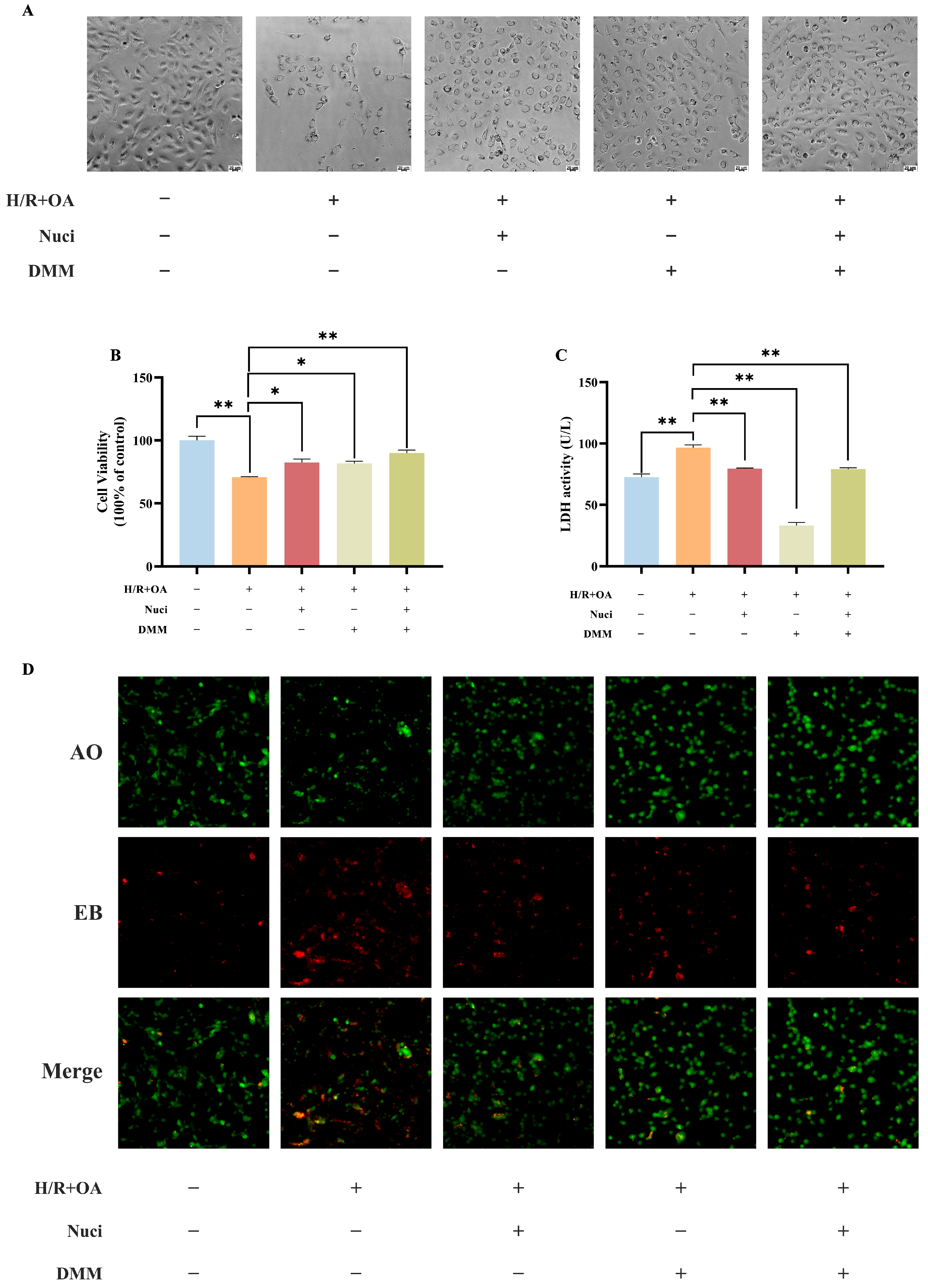 Nutrients 18 00425 g009a