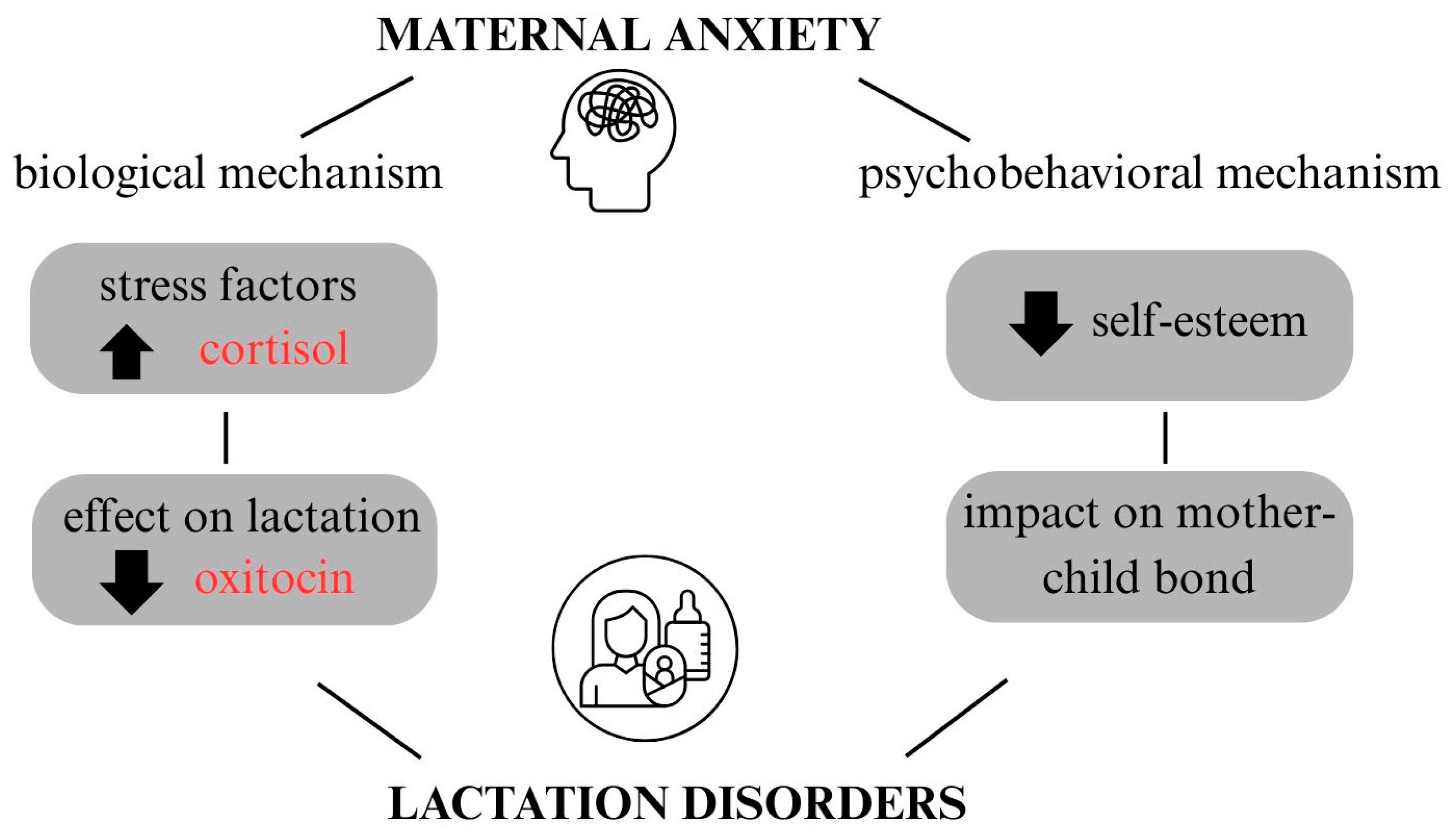 Nutrients 18 00455 g003 Nutrients 18 00455 g003