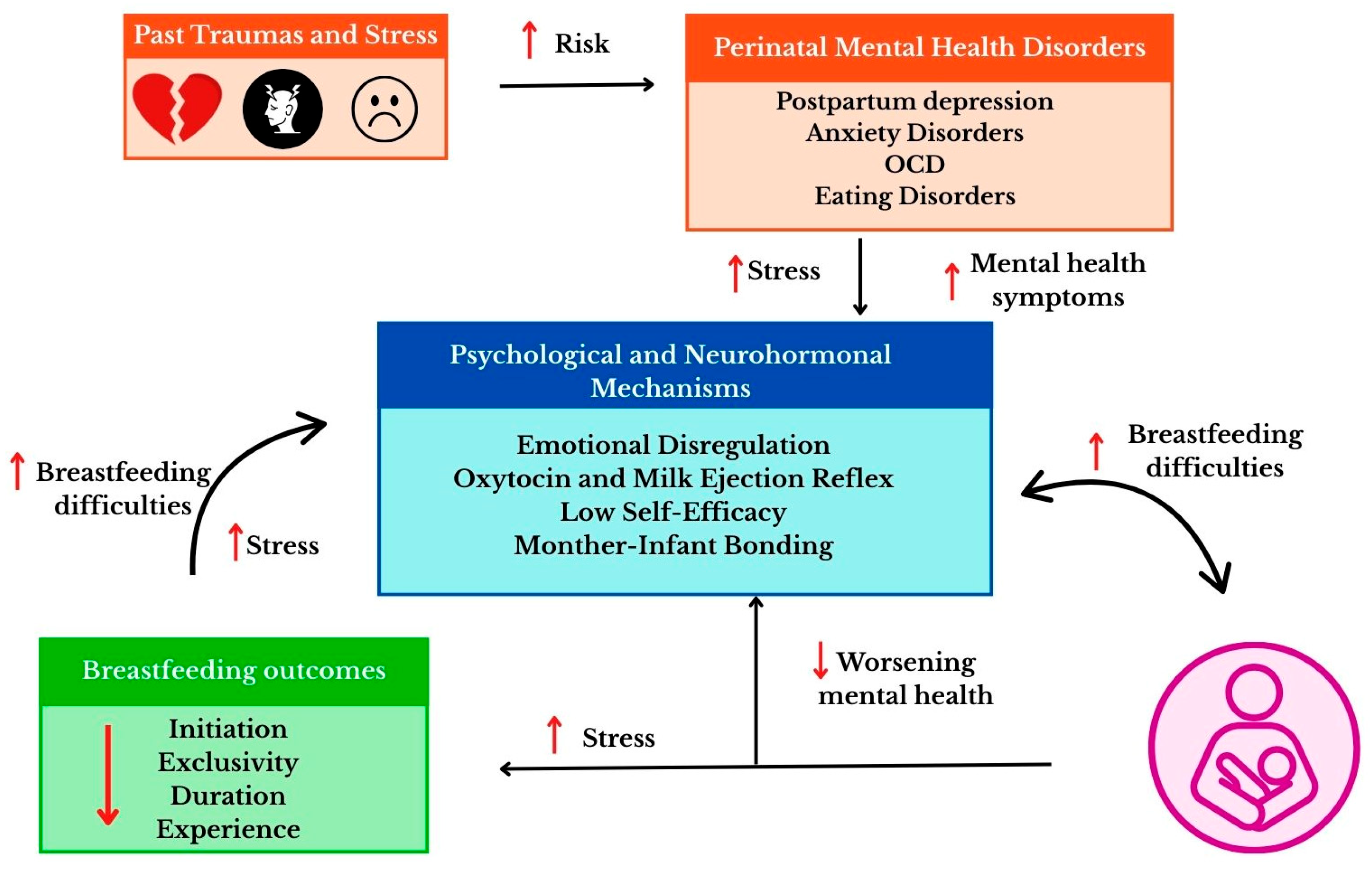 Nutrients 18 00455 g004 Nutrients 18 00455 g004