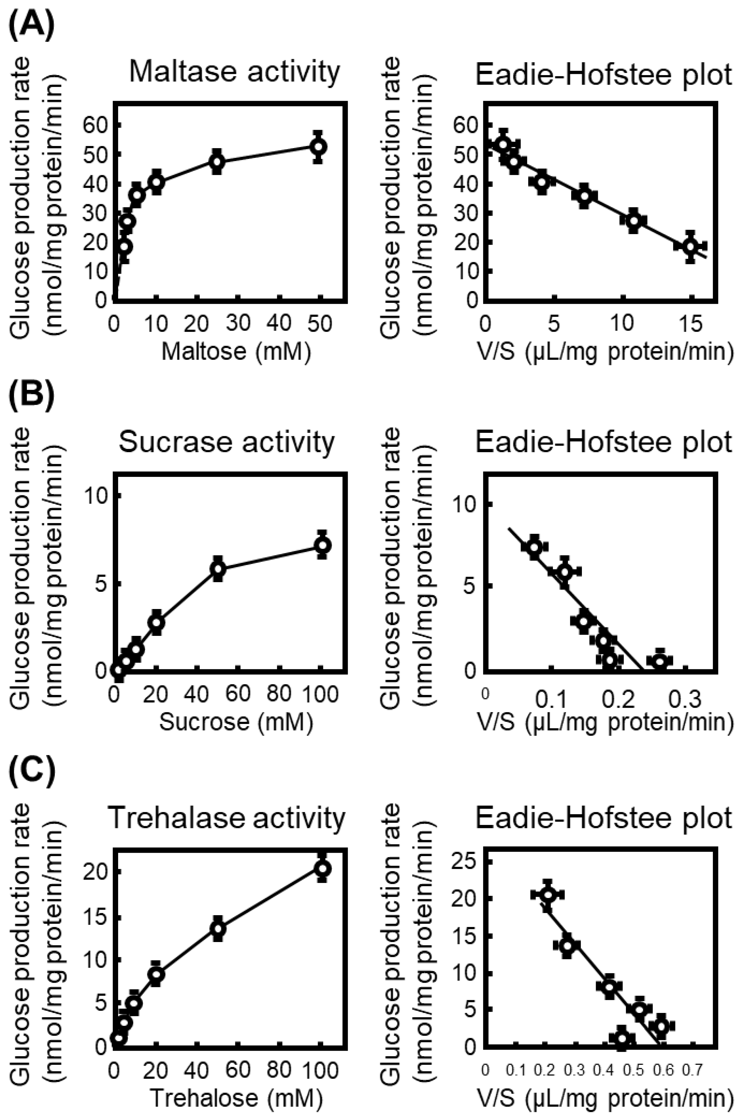 Nutrients 18 00456 g001 Nutrients 18 00456 g001