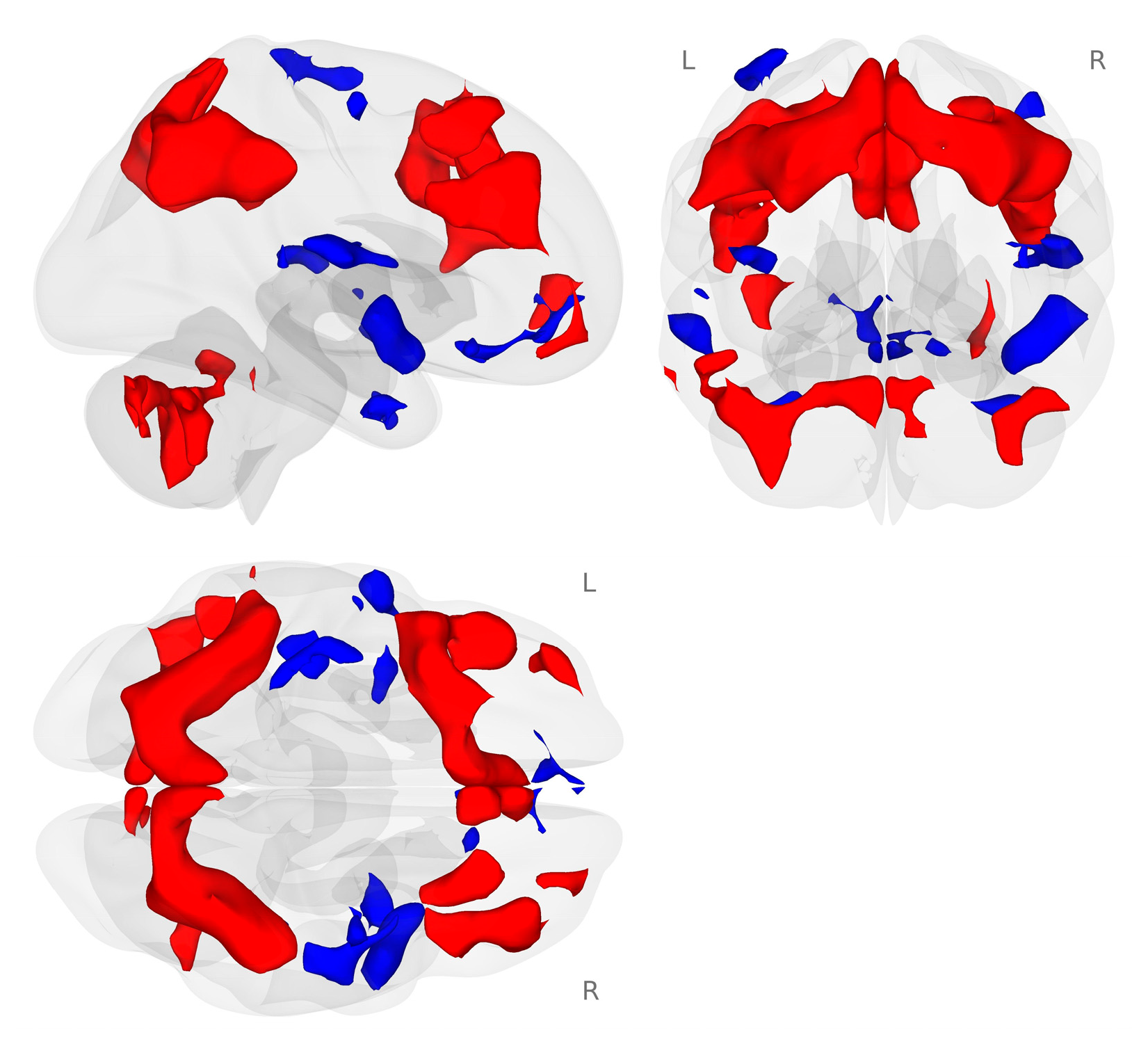 Nutrients 18 00459 g002 Nutrients 18 00459 g002