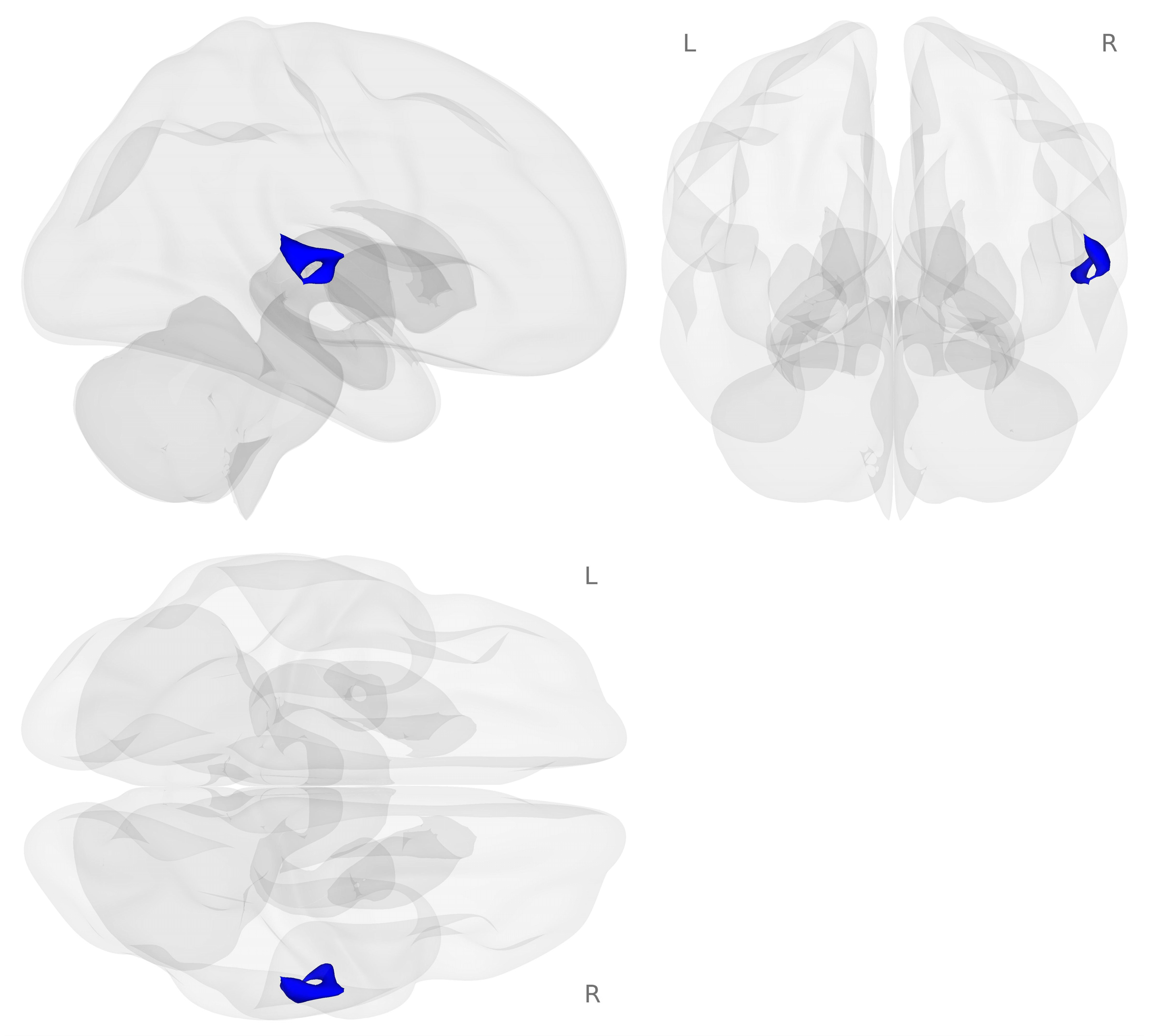 Nutrients 18 00459 g003 Nutrients 18 00459 g003