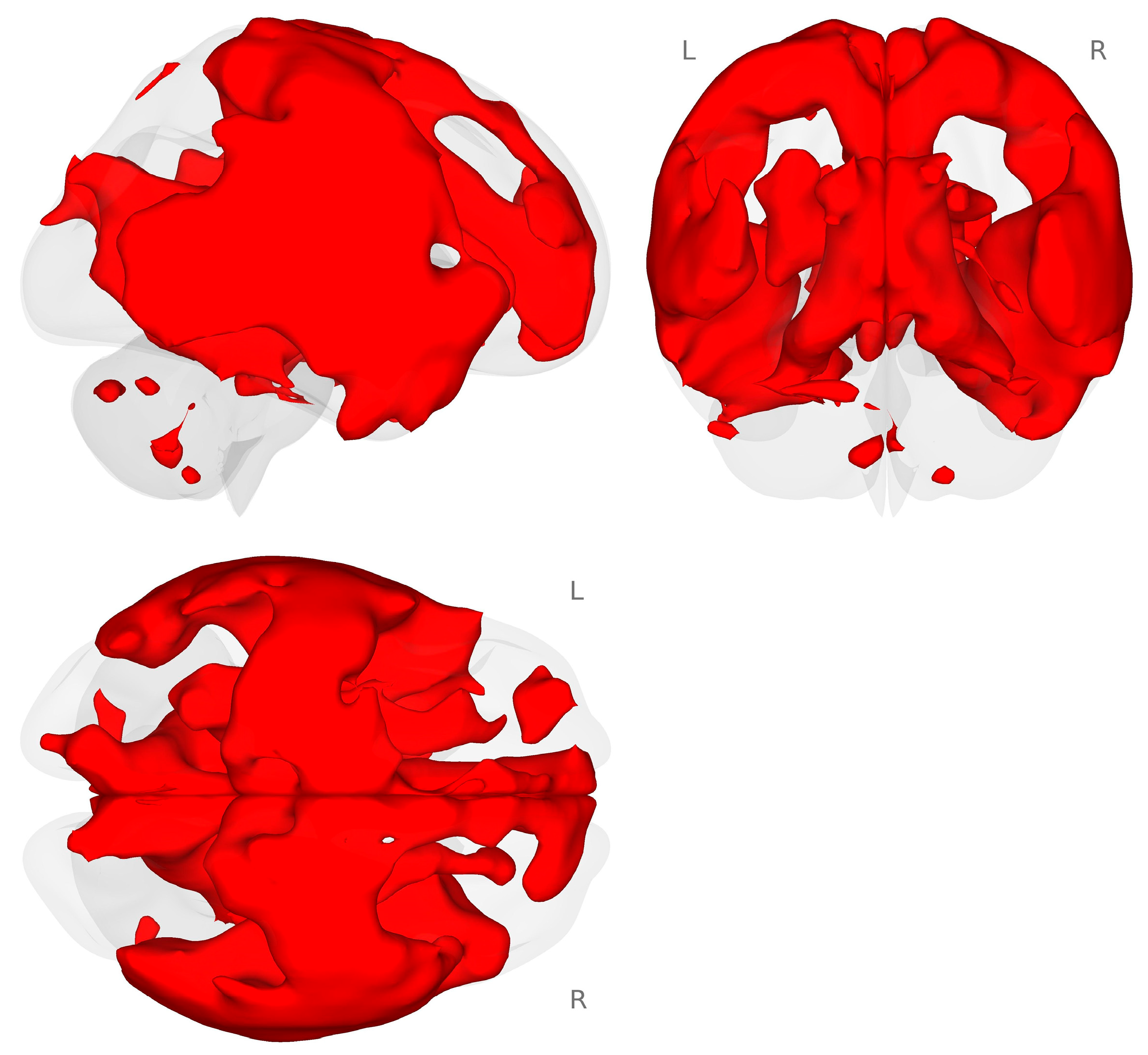 Nutrients 18 00459 g004 Nutrients 18 00459 g004