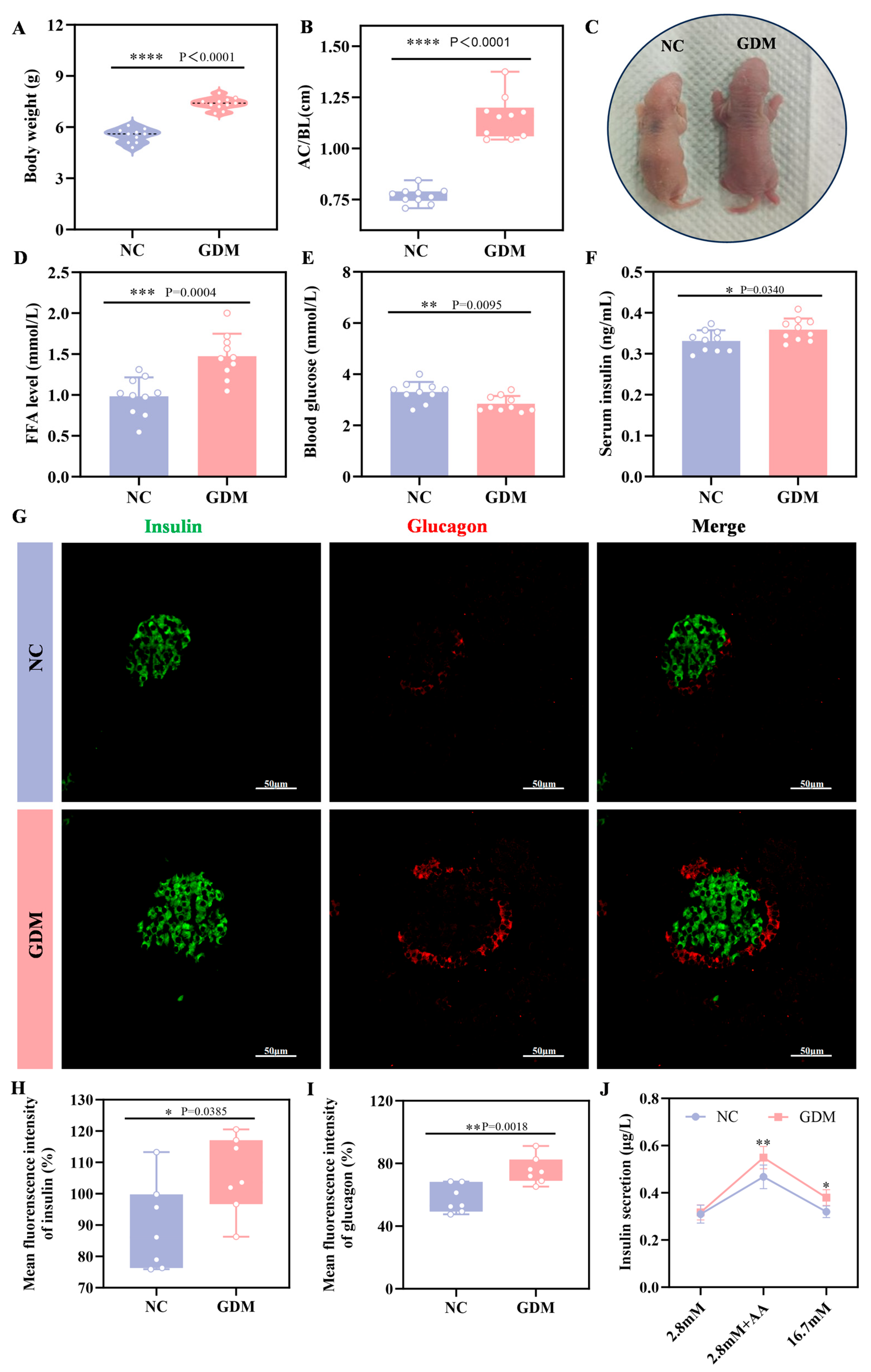 Nutrients 18 00464 g002 Nutrients 18 00464 g002