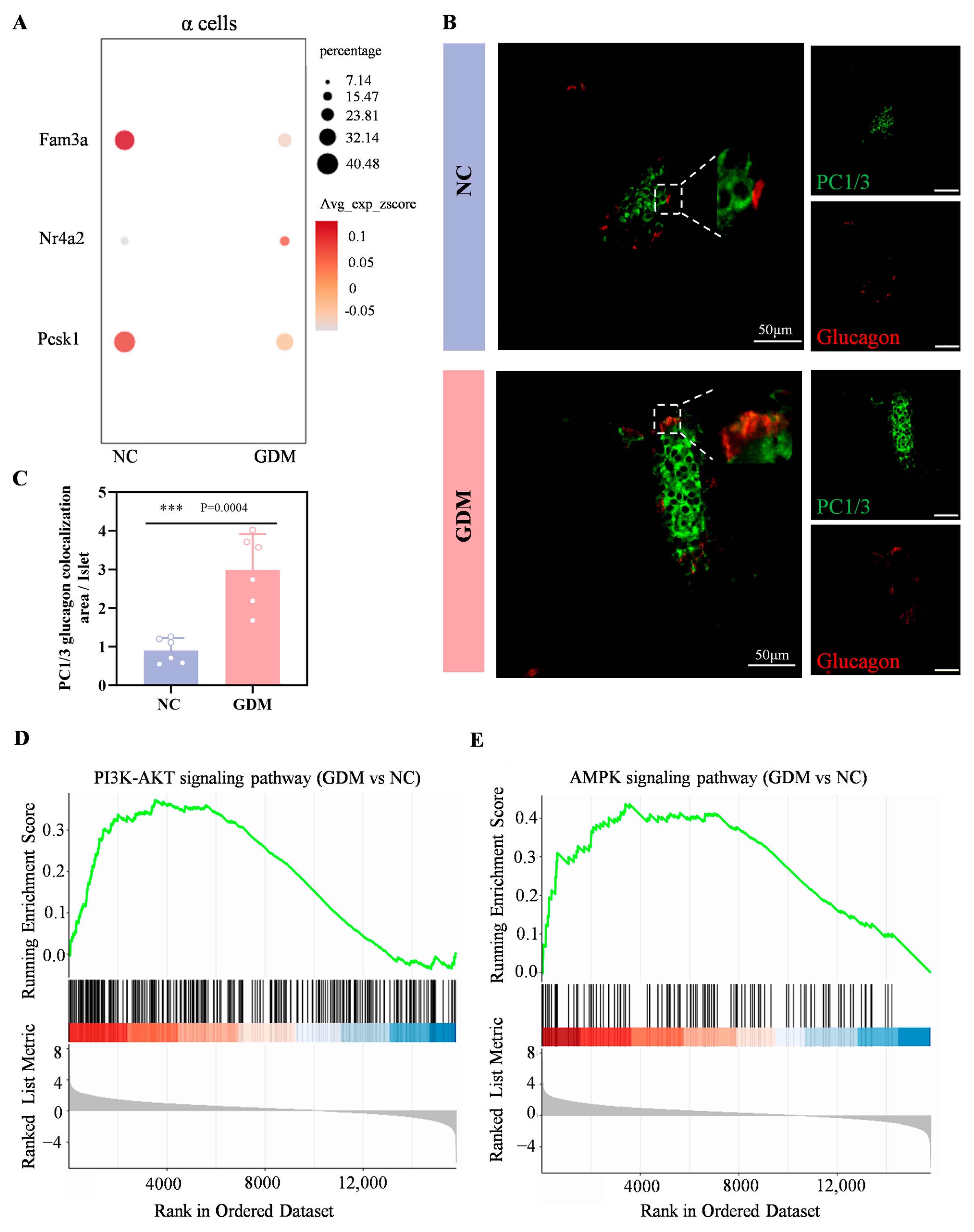 Nutrients 18 00464 g005 Nutrients 18 00464 g005