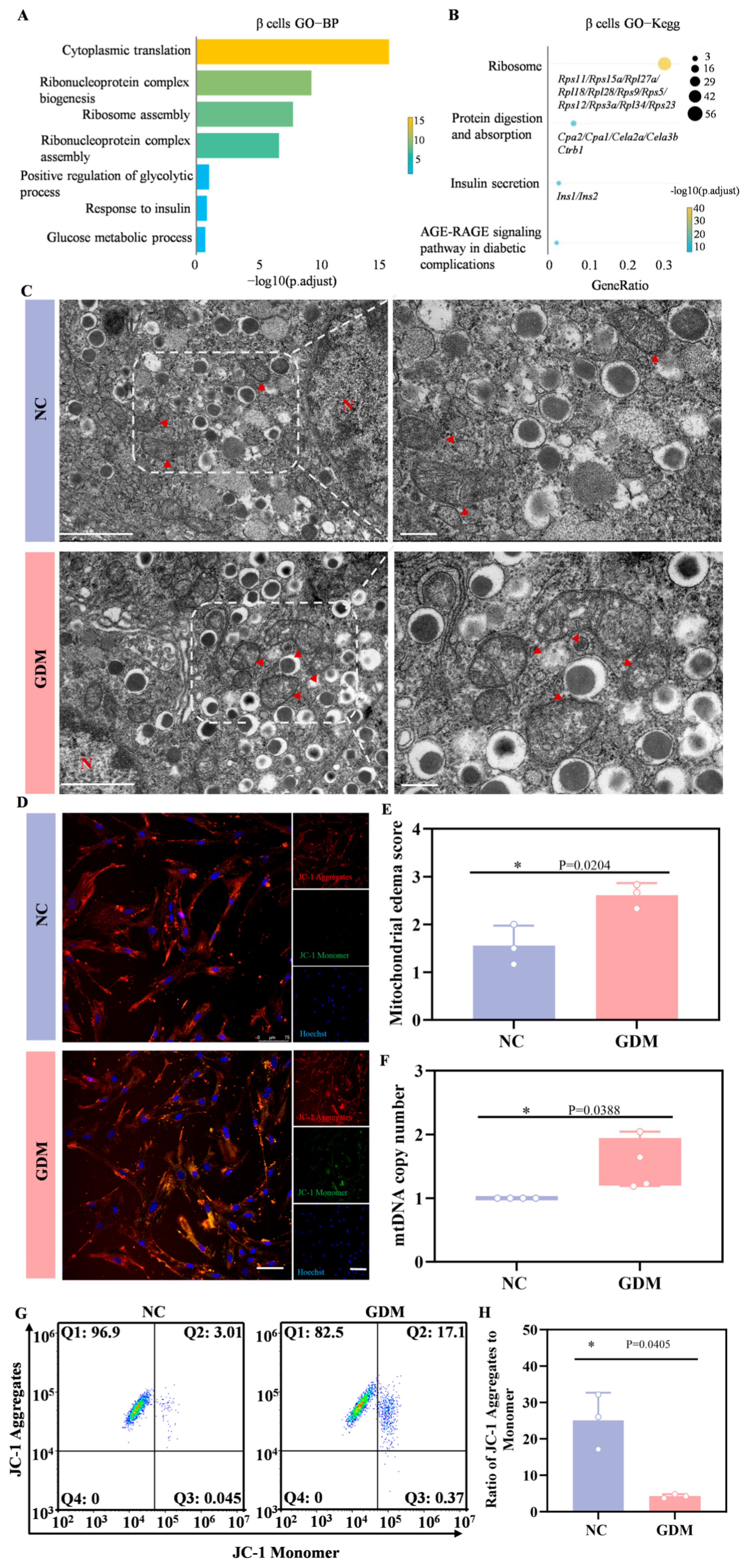 Nutrients 18 00464 g006 Nutrients 18 00464 g006