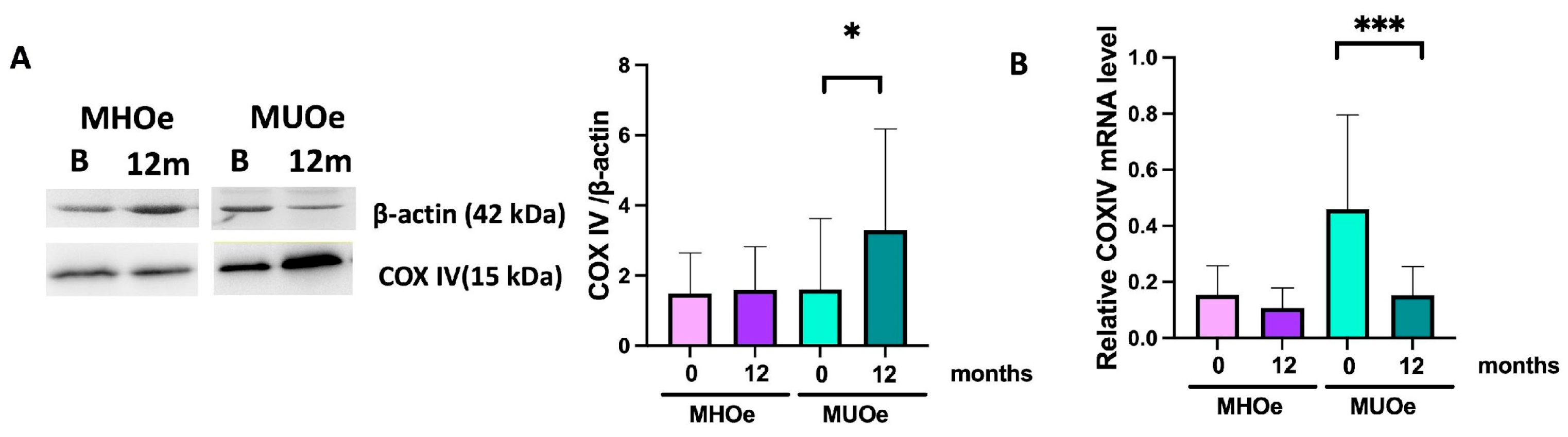 Nutrients 18 00475 g003 Nutrients 18 00475 g003