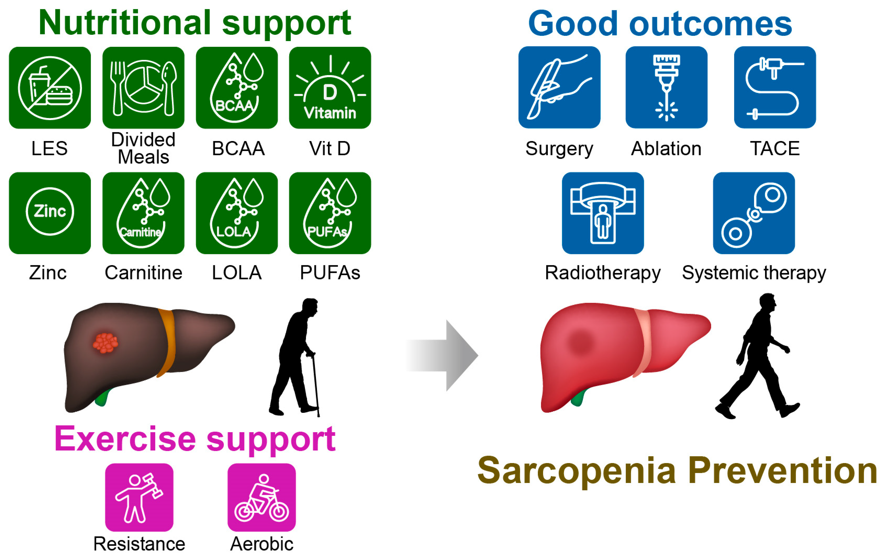 Nutrients 18 00494 g001
