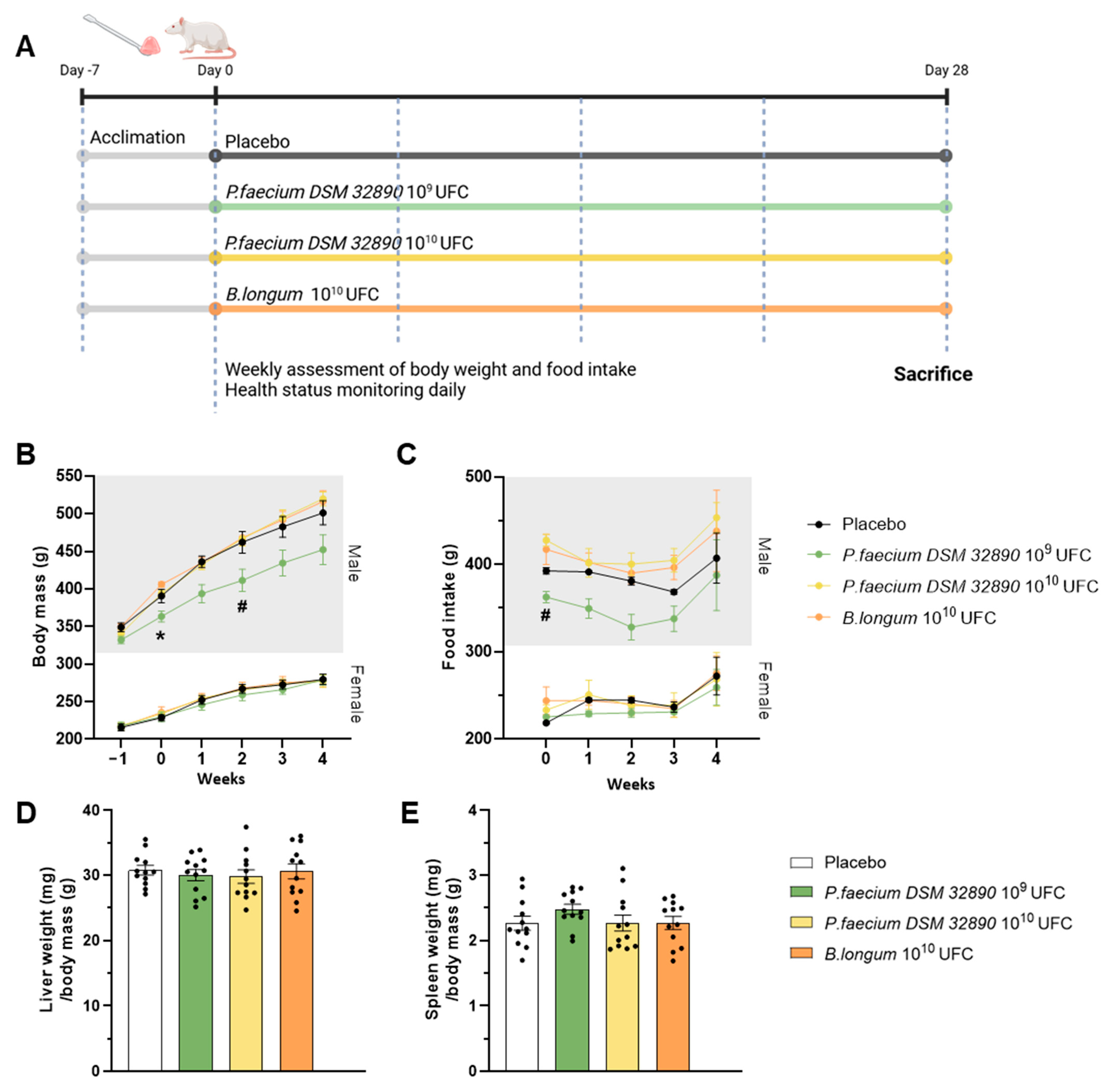 Nutrients 18 00498 g001 Nutrients 18 00498 g001