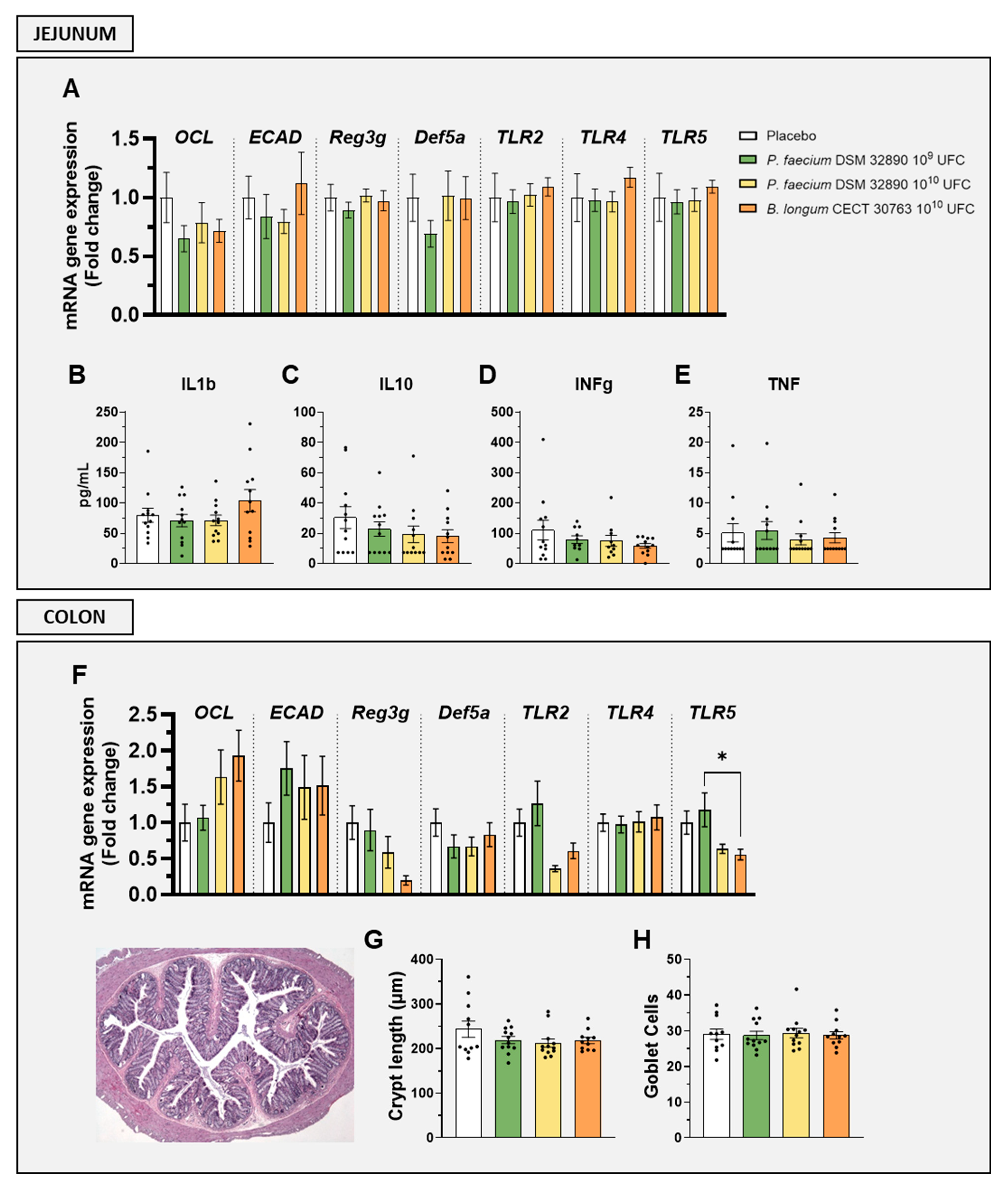 Nutrients 18 00498 g002 Nutrients 18 00498 g002