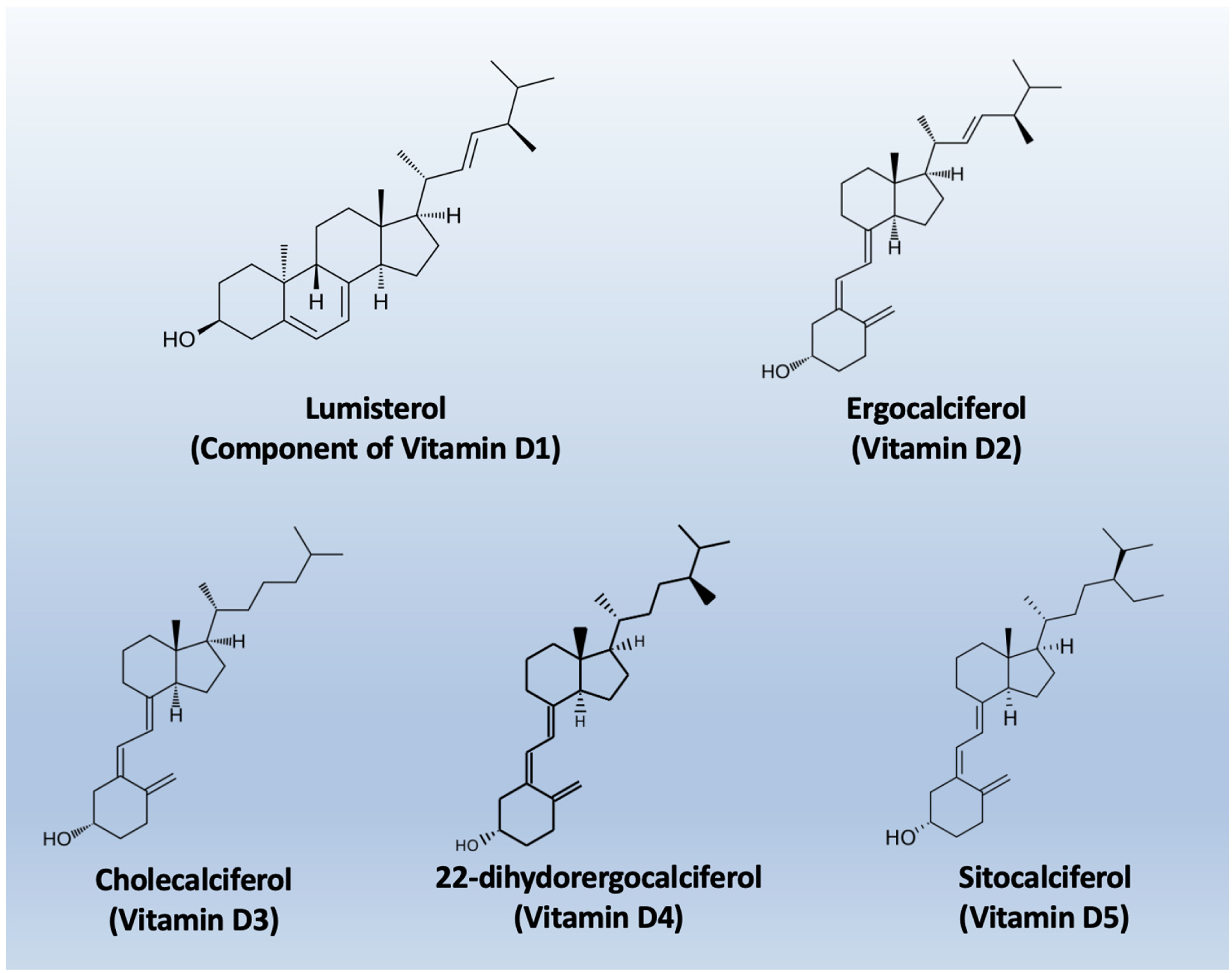Nutrients 18 00499 g002 Nutrients 18 00499 g002