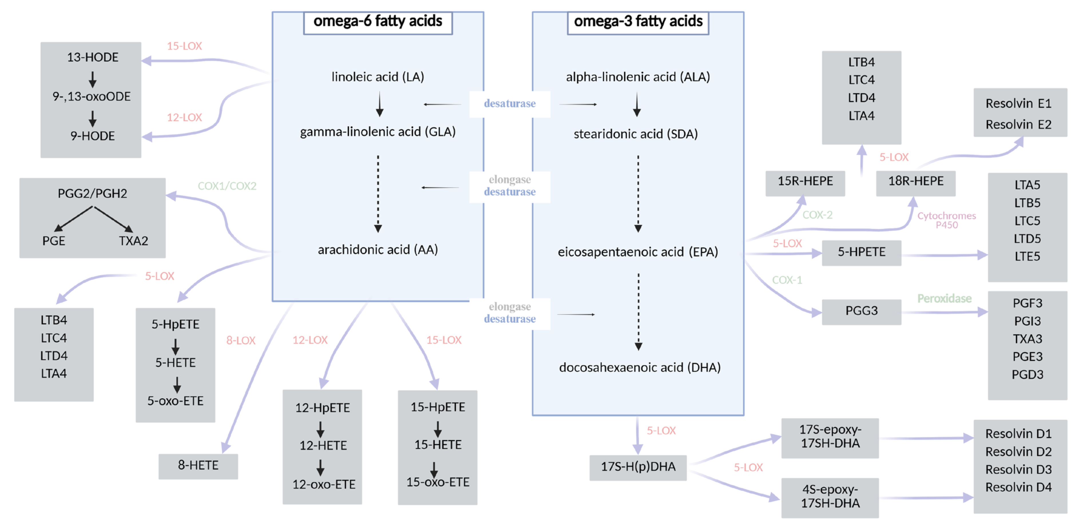 Nutrients 18 00518 g001