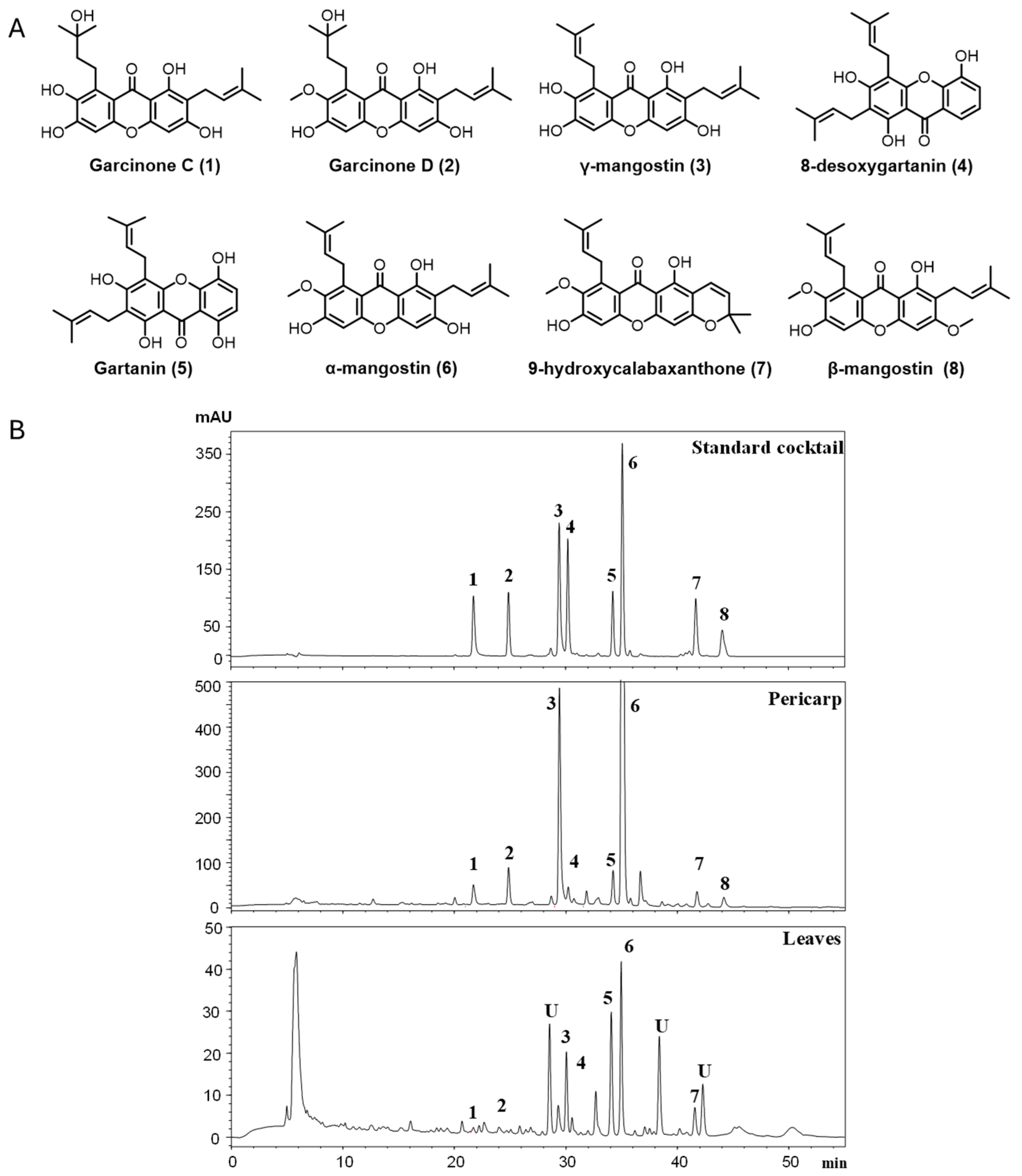 Nutrients 18 00537 g001 Nutrients 18 00537 g001