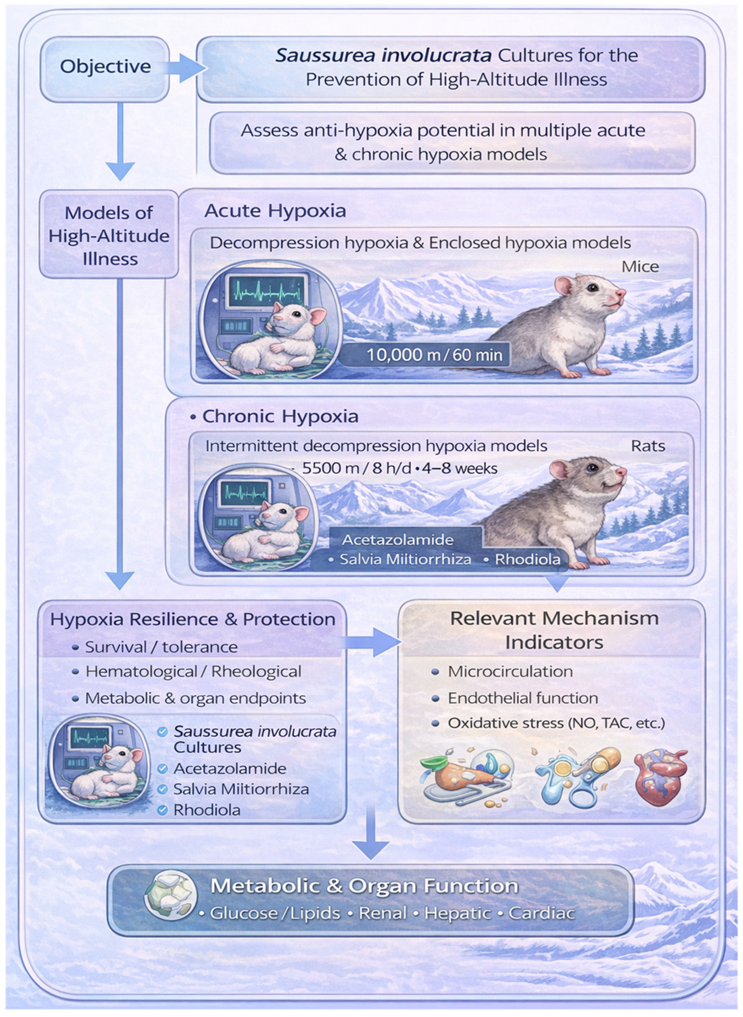 Nutrients 18 00556 g001 Nutrients 18 00556 g001