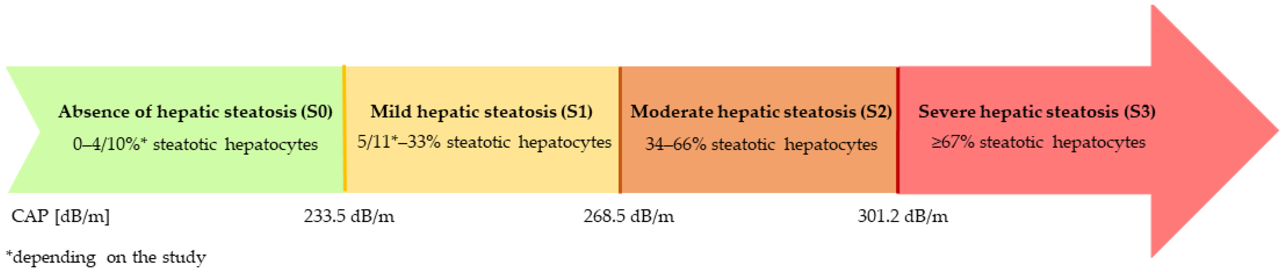 Nutrients 18 00652 g001 Nutrients 18 00652 g001