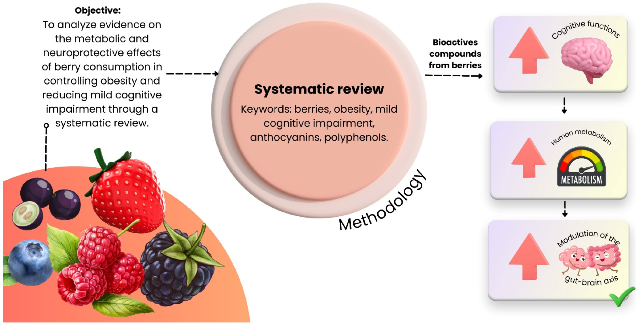 Nutrients 18 00674 g001 Nutrients 18 00674 g001